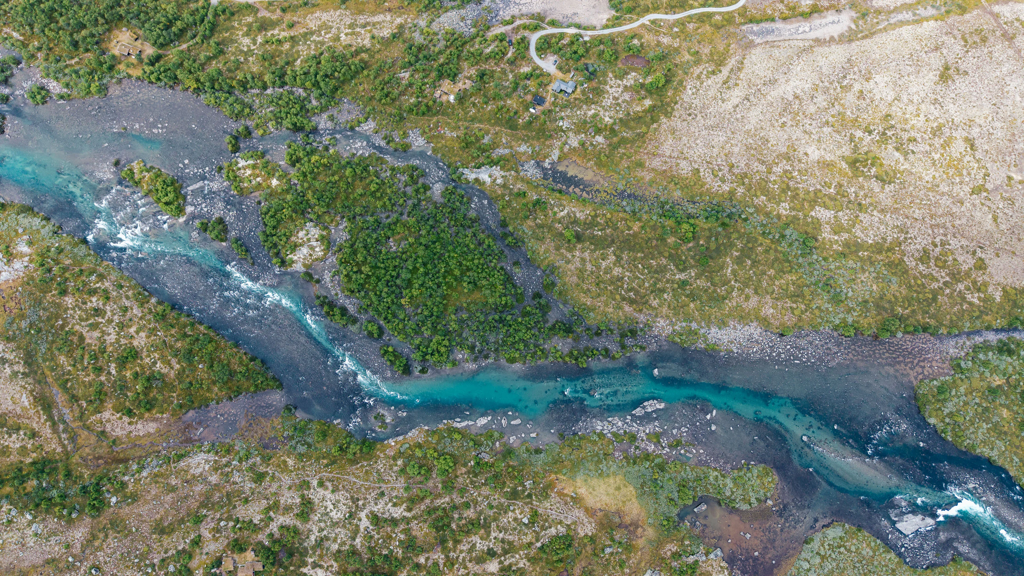 Türkisfarbener Bergfluss verzweigt sich zwischen Felsen und niedriger Vegetation