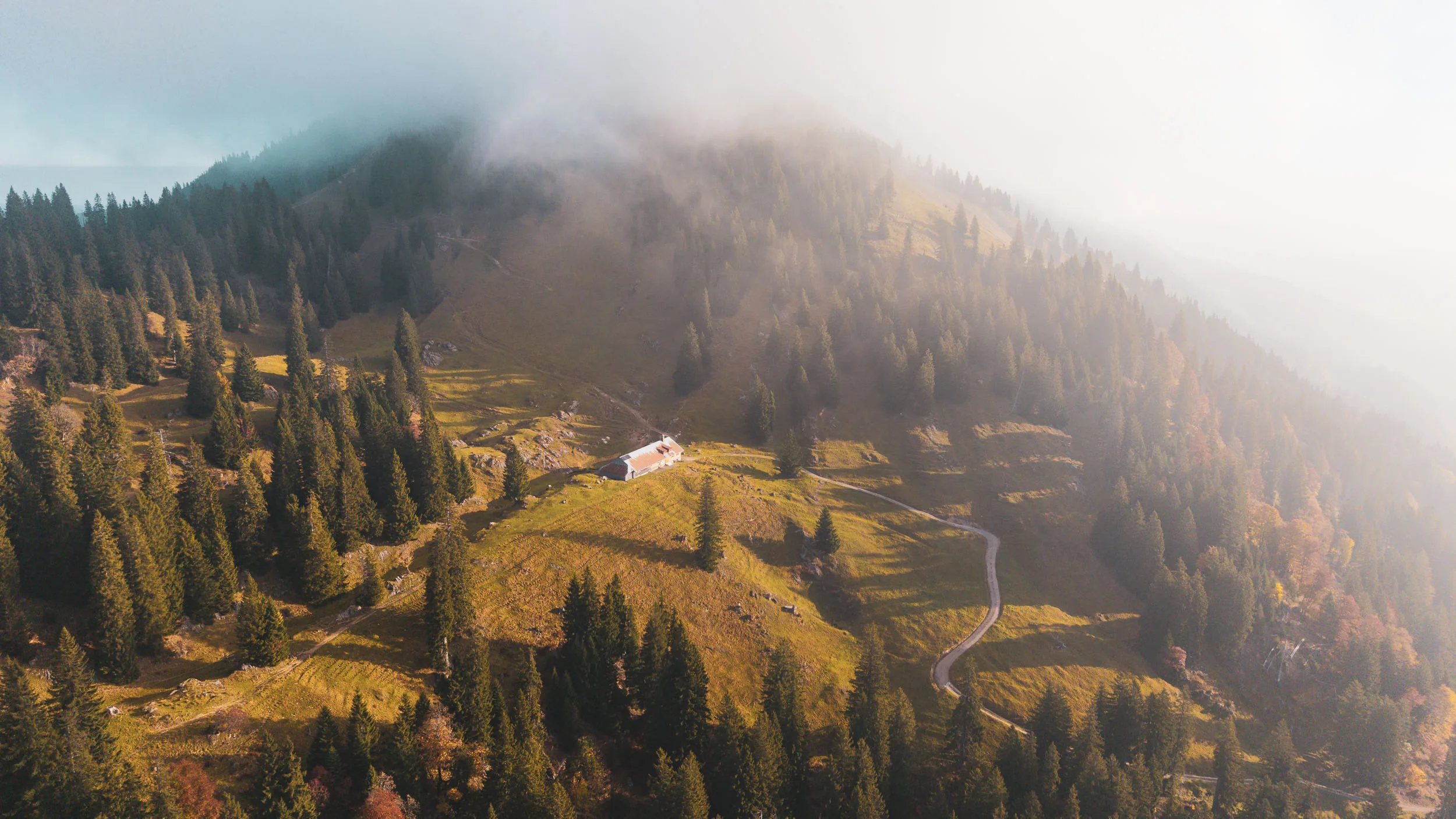 Sonnenlicht fällt auf Wiesen und Herbstwald, während Nebel den Hang umschließt