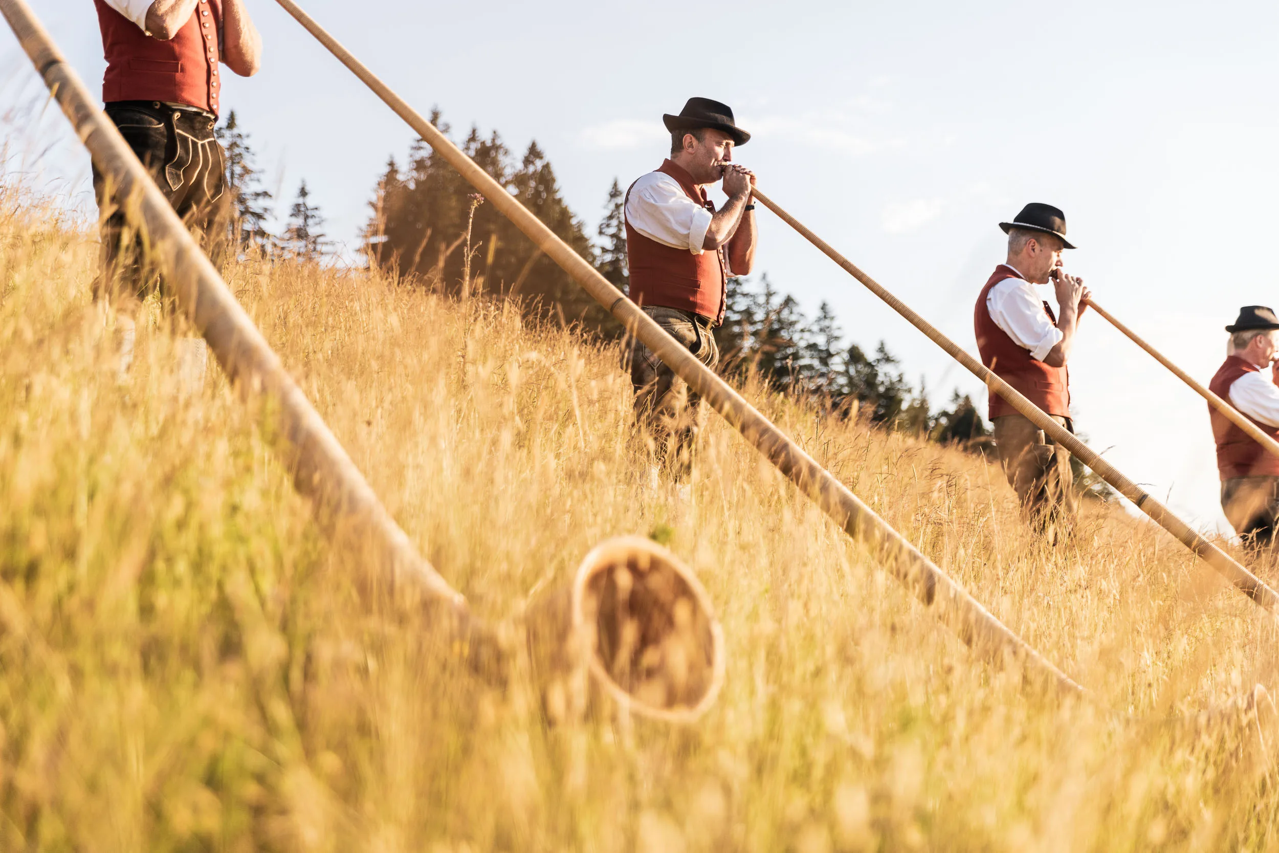 Alphorn im Vordergrund vor Musikern auf einer sonnenwarmen Bergwiese im Allgäu.