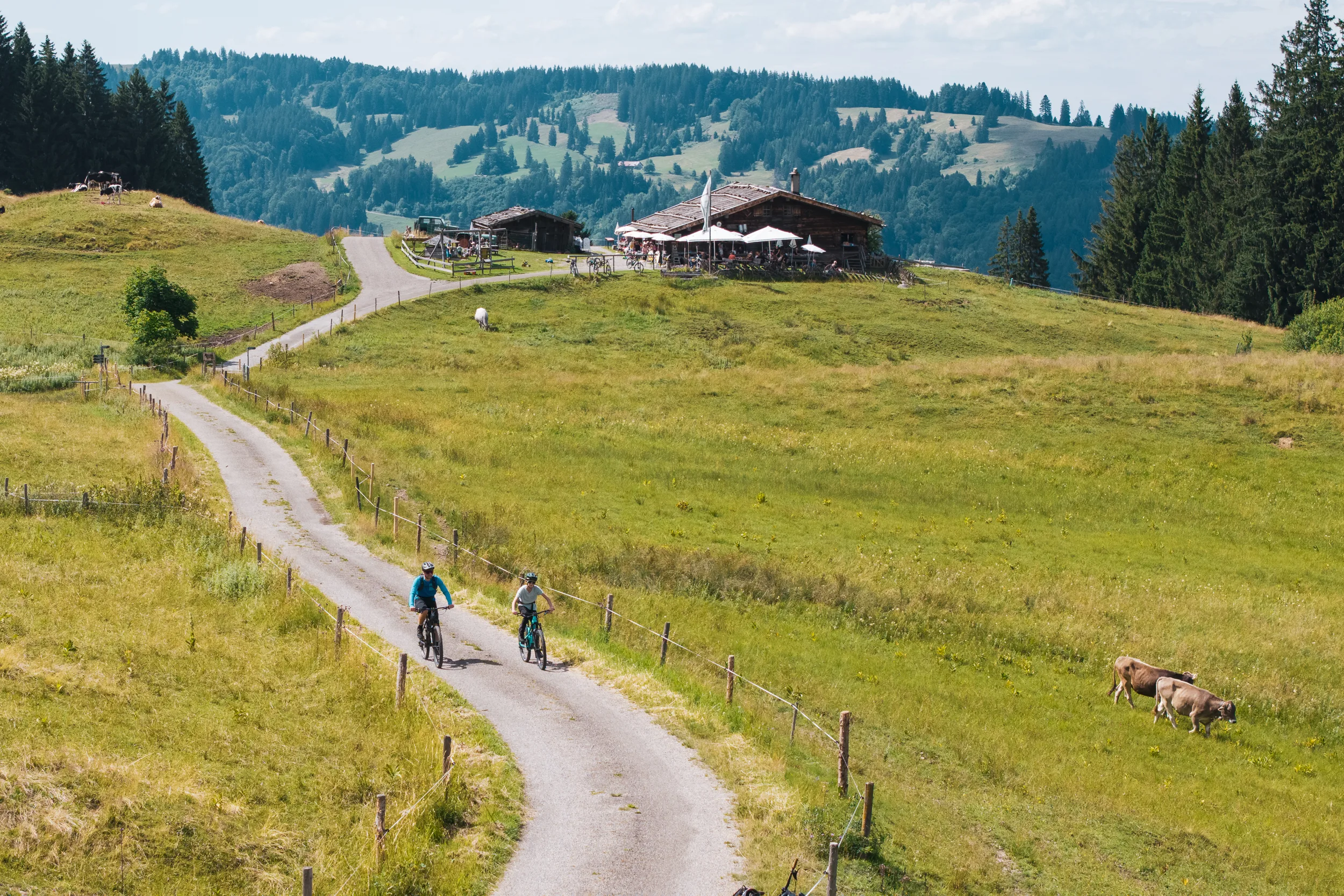 Florian Häusler und Kilian Morell fahren auf dem Bergweg zur Alpe Gschwenderberg