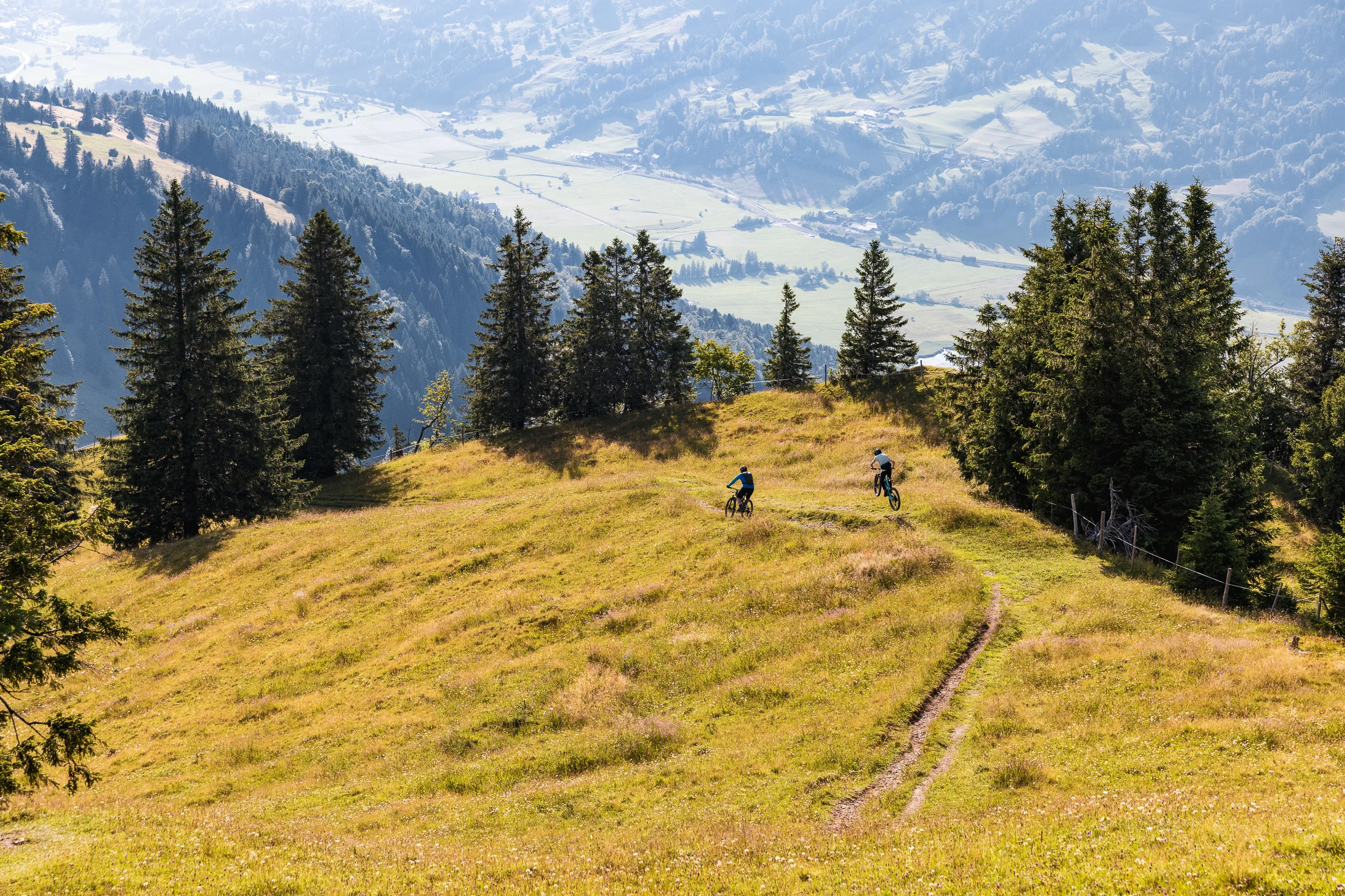 Zwei Mountainbiker fahren über einen schmalen Pfad durch die sonnige Bergwiese