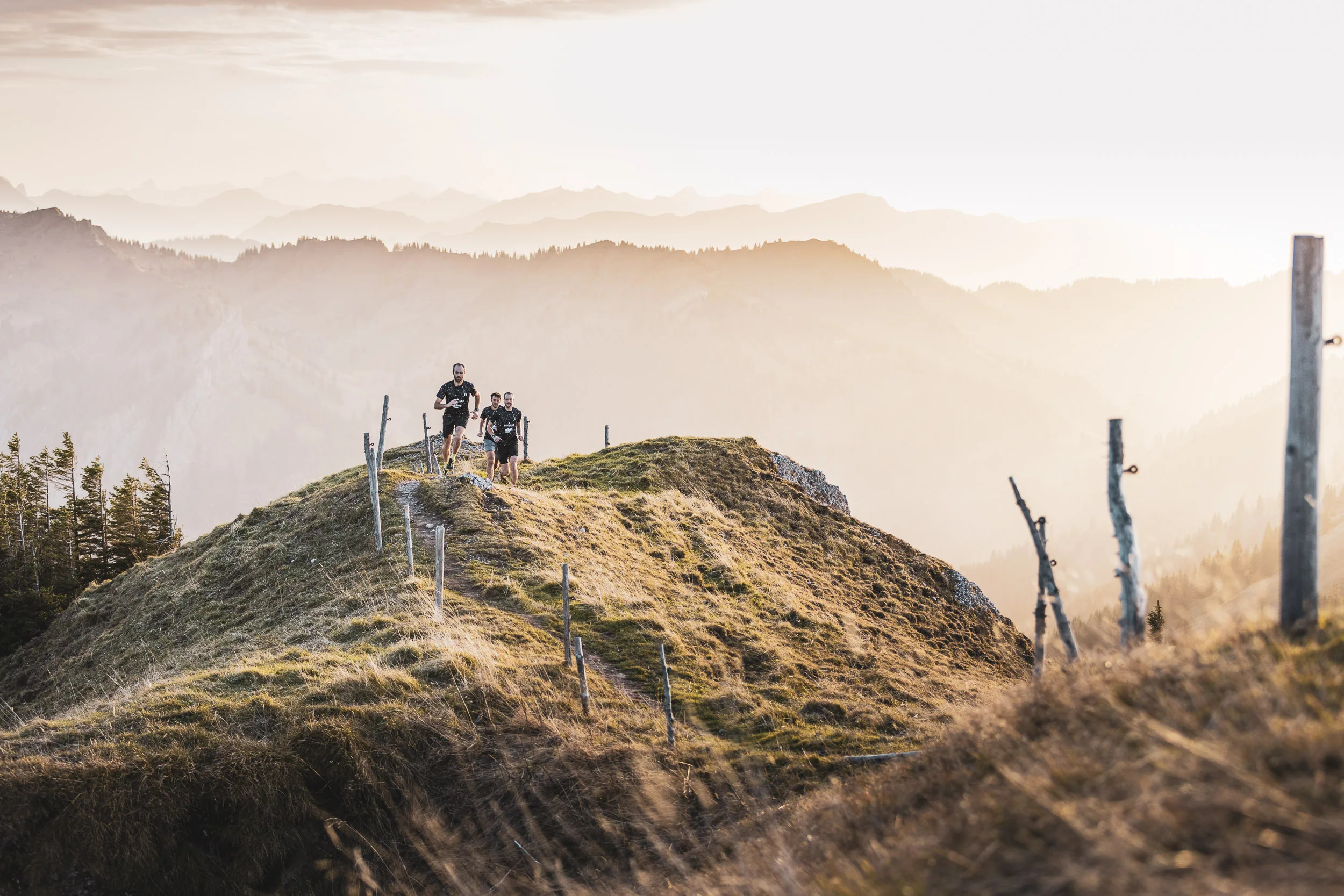 Kleine Laufgruppe auf einem Bergkamm im weichen Abendlicht