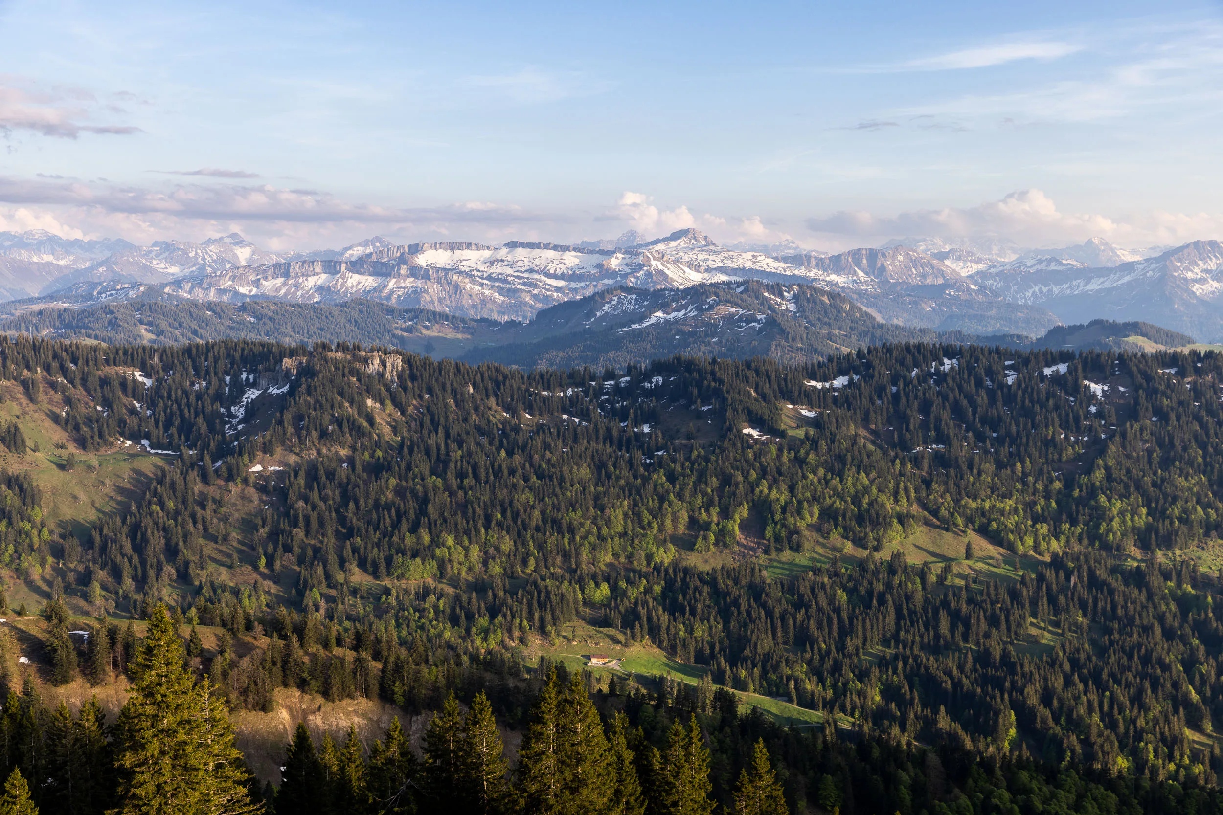 Blick vom Hochgrat über das Allgäu und die Nagelfluhkette in sommerlichem Licht.