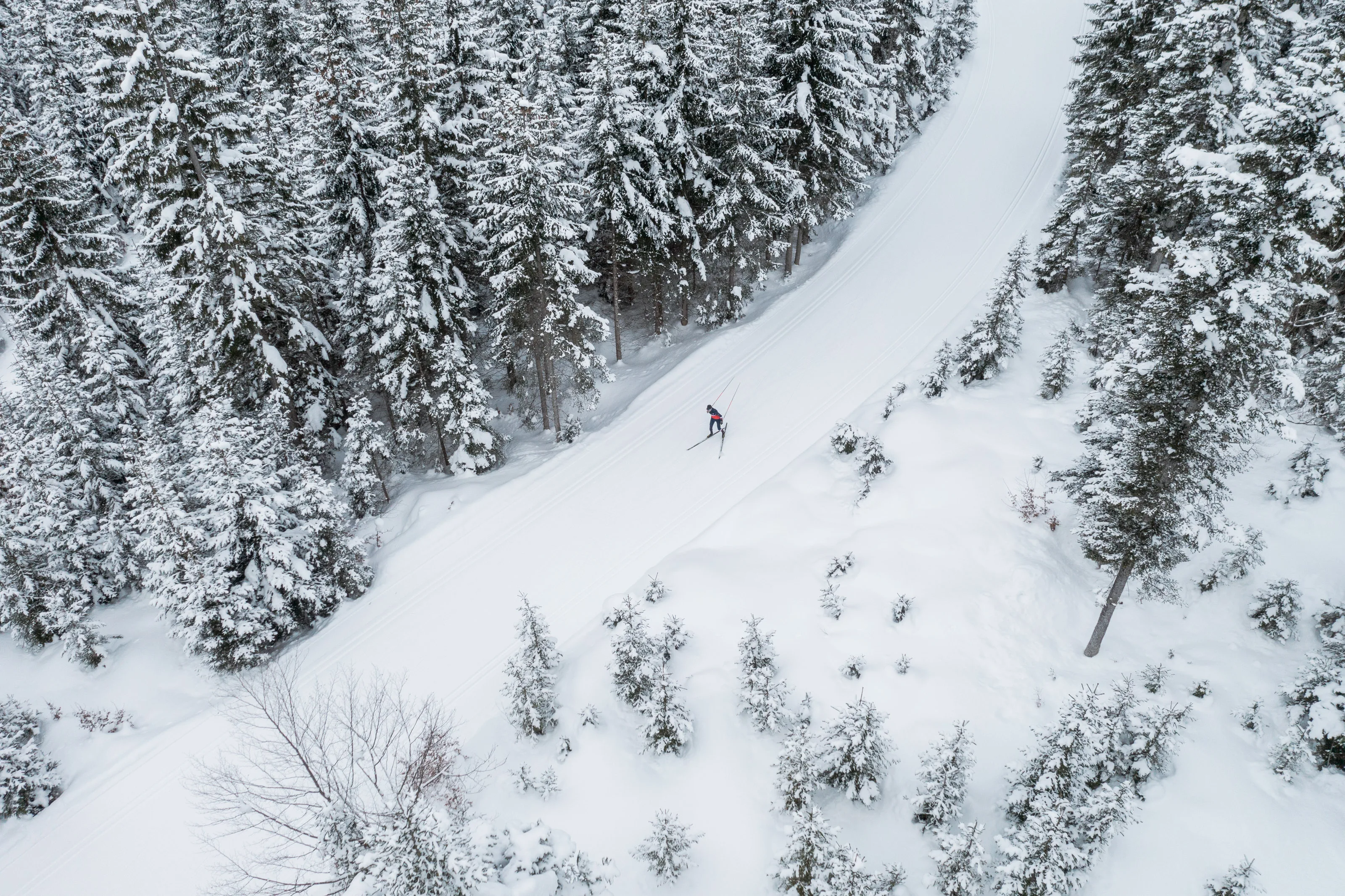 Michael Schnetzer bewegt sich beim Skating-Langlauf durch eine weite Schneelandschaft.