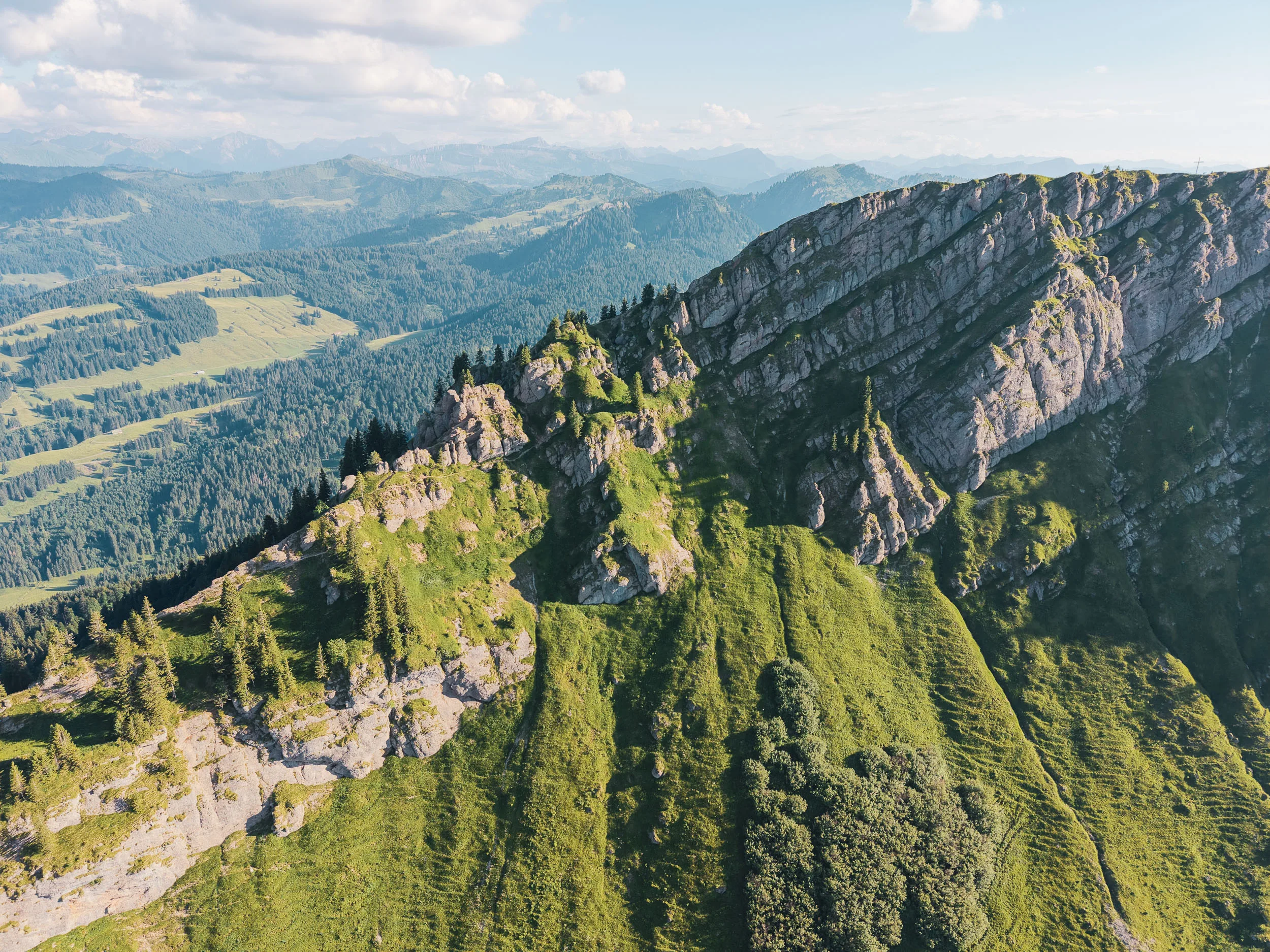 Lange Felsbänder und grüne Steilhänge liegen über bewaldeten Tälern in der Nagelfluhkette.