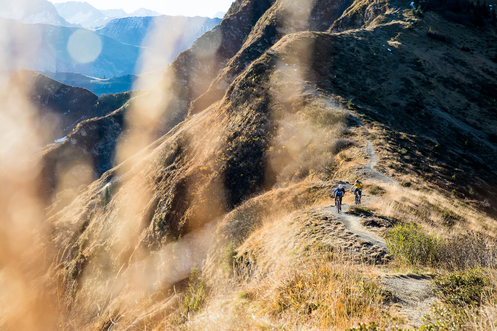 Mountainbiker auf Trail