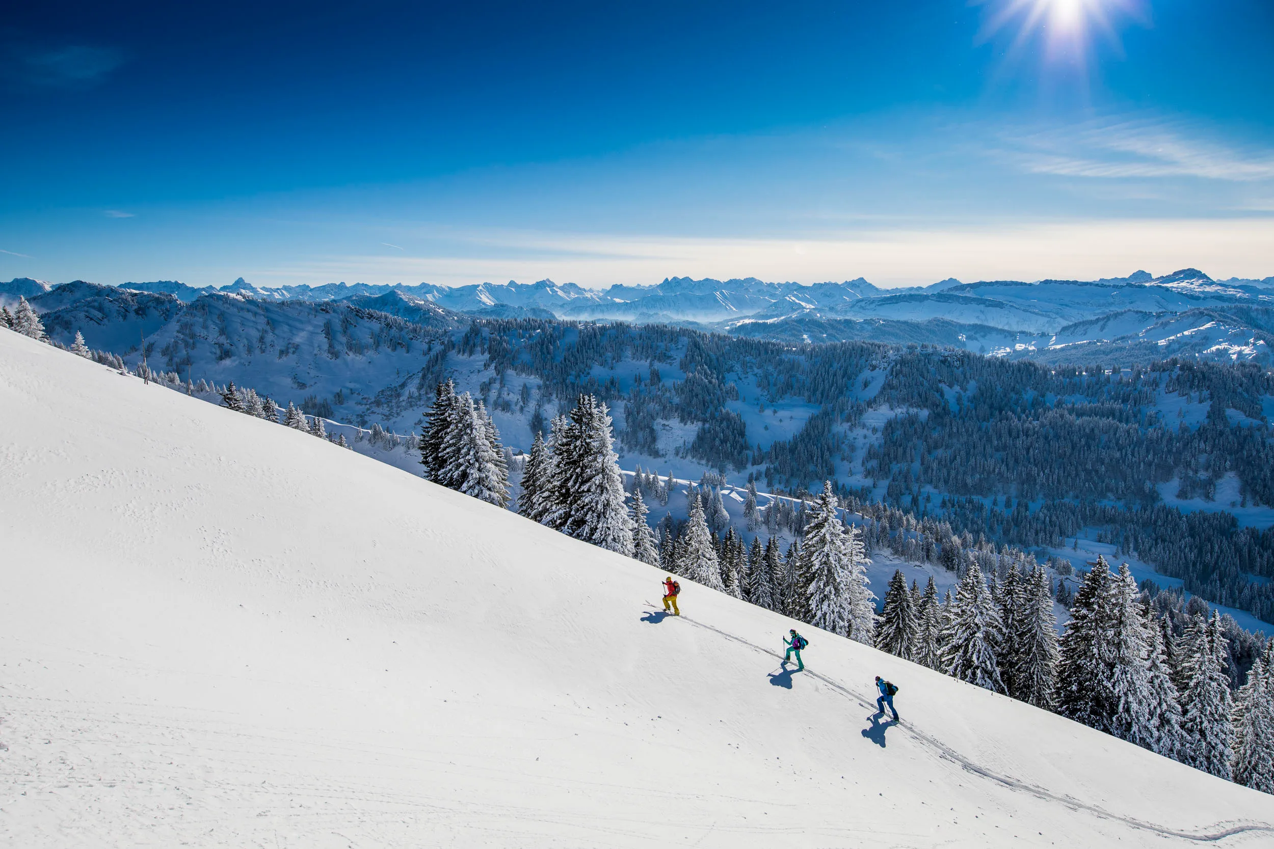 Drei Skitourengeher fahren über einen sonnigen Schneehang am Hochgrat.