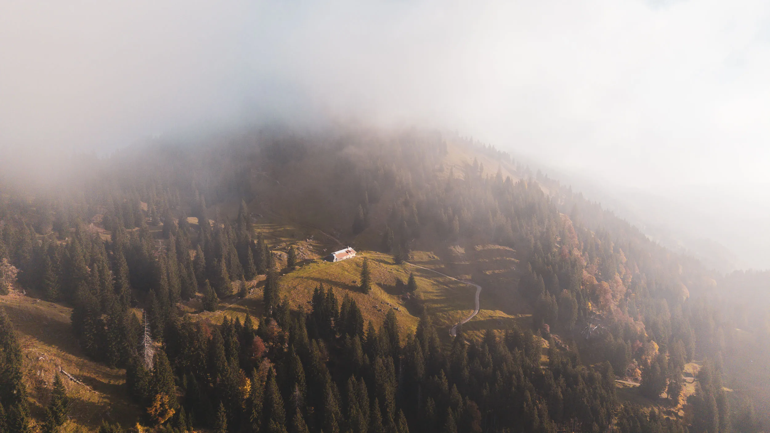 Eine kleine Alpe liegt zwischen Herbstwald und einer tiefen Schicht aus Bergnebel