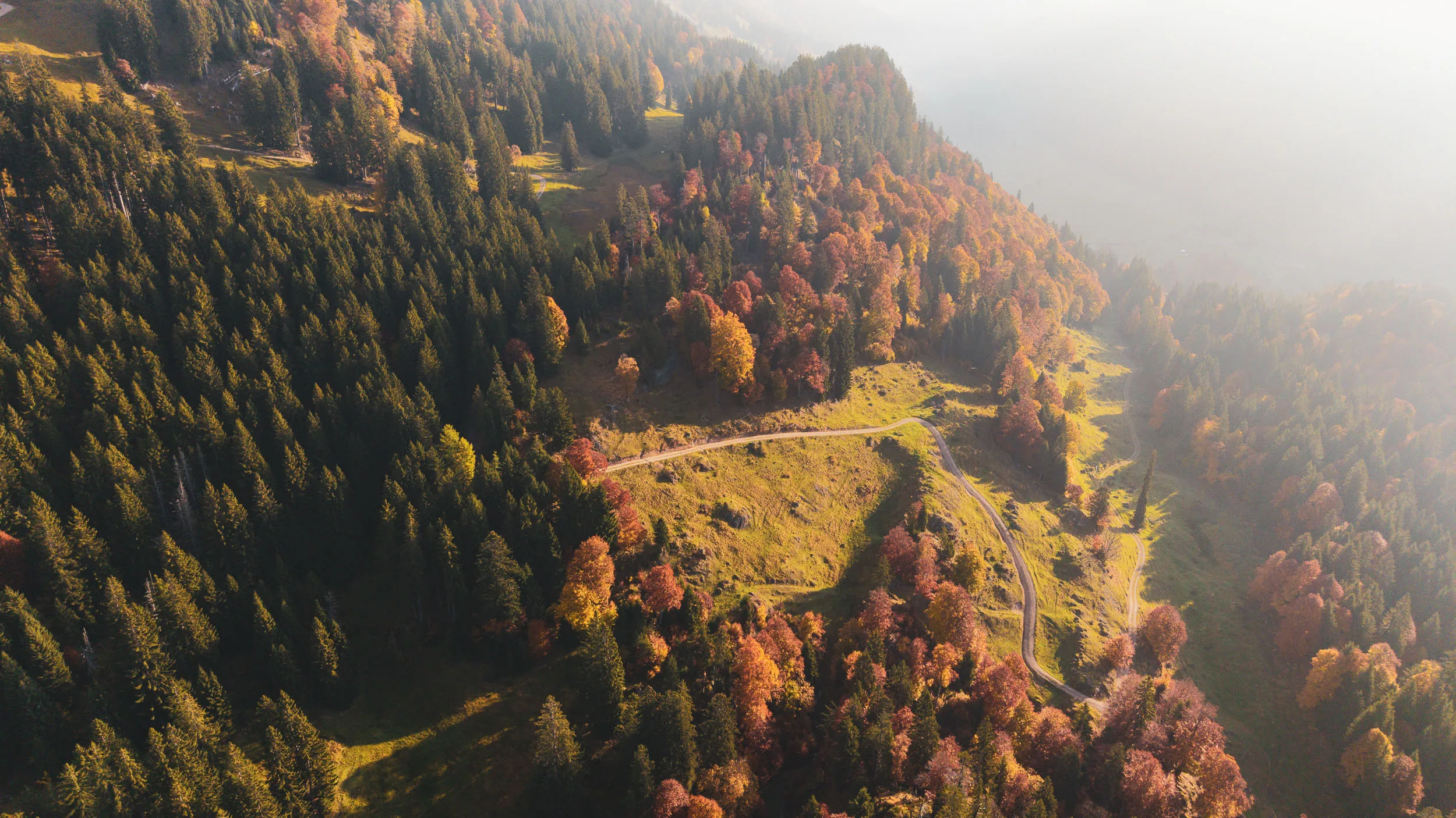 Ein heller Alpweg windet sich durch herbstlichen Bergwald und sonnige Wiesen