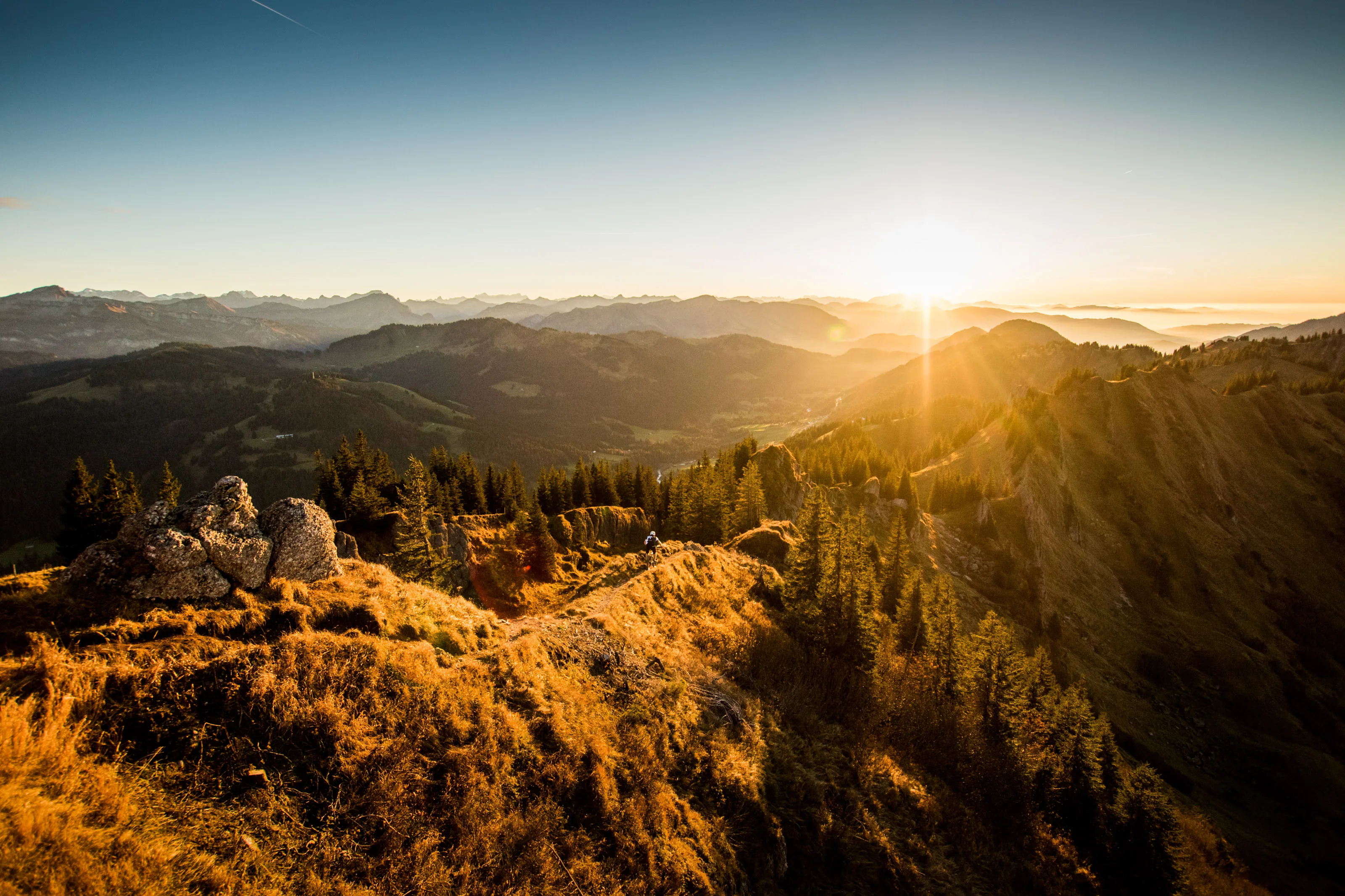Schwarzweißes Bergpanorama mit dunklen Waldhängen im Vordergrund.