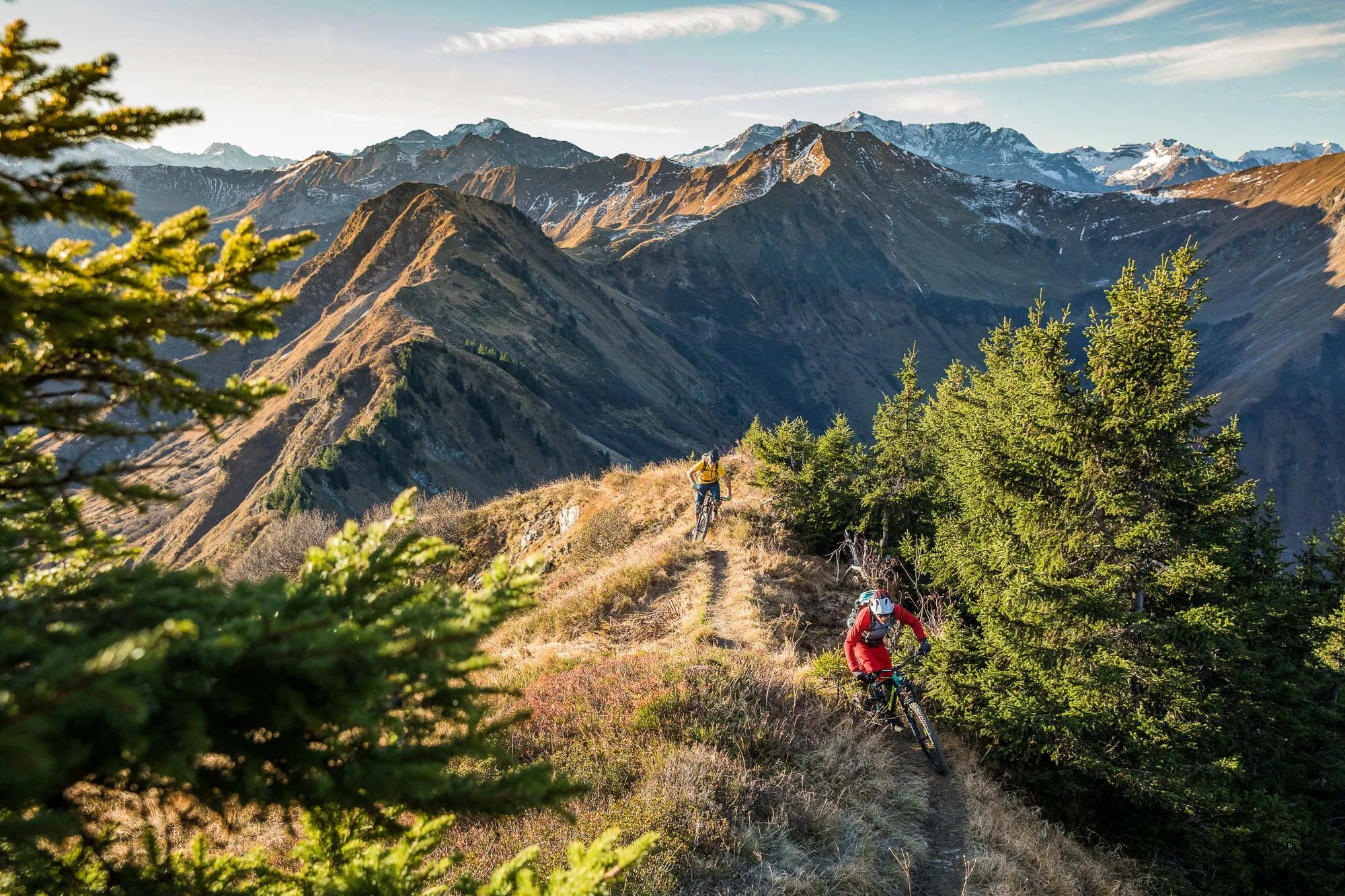 Mountainbiker fährt im warmen Licht durch einen mit Fichten gesäumten Bergtrail