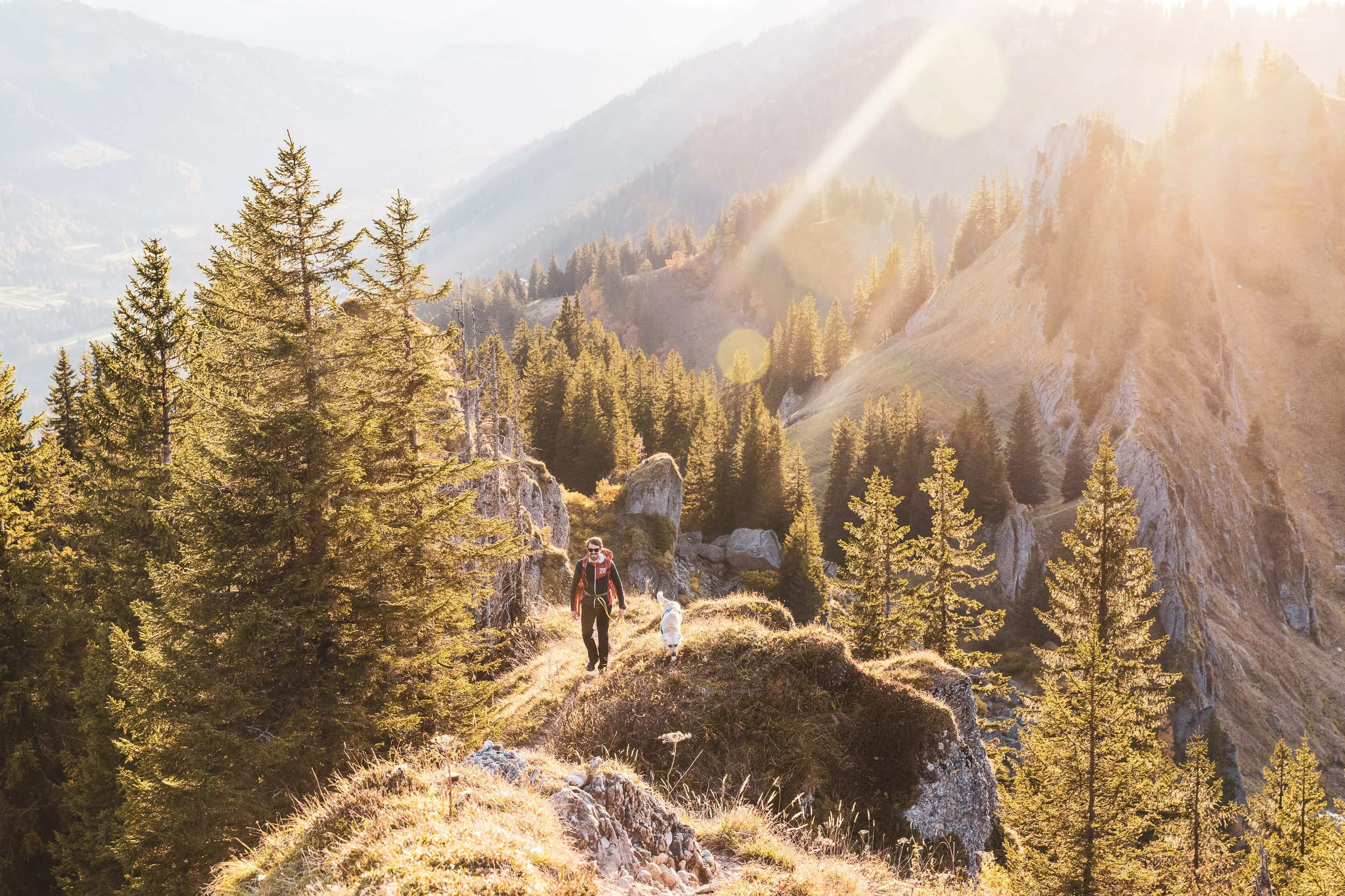 Wanderer und Hund auf einem schmalen Grat zwischen Felsen und sonnenbeschienenem Bergwald