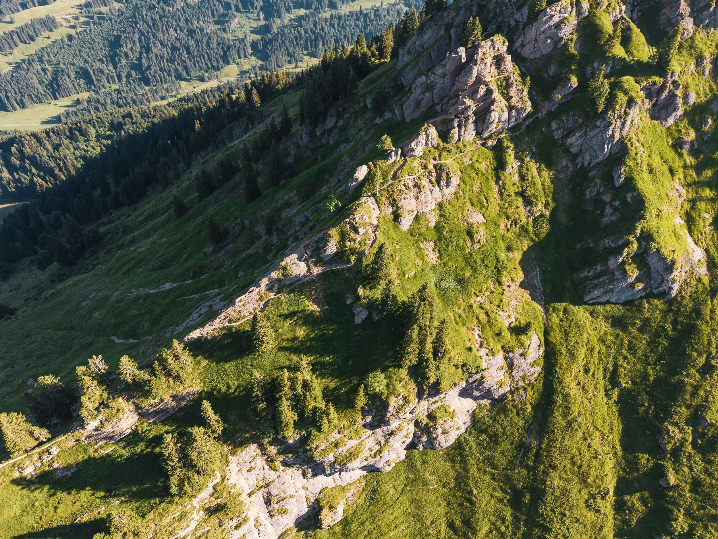 Luftaufnahme eines gewundenen Pfades zwischen Felsstufen, Bergwiesen und einzelnen Nadelbäumen.