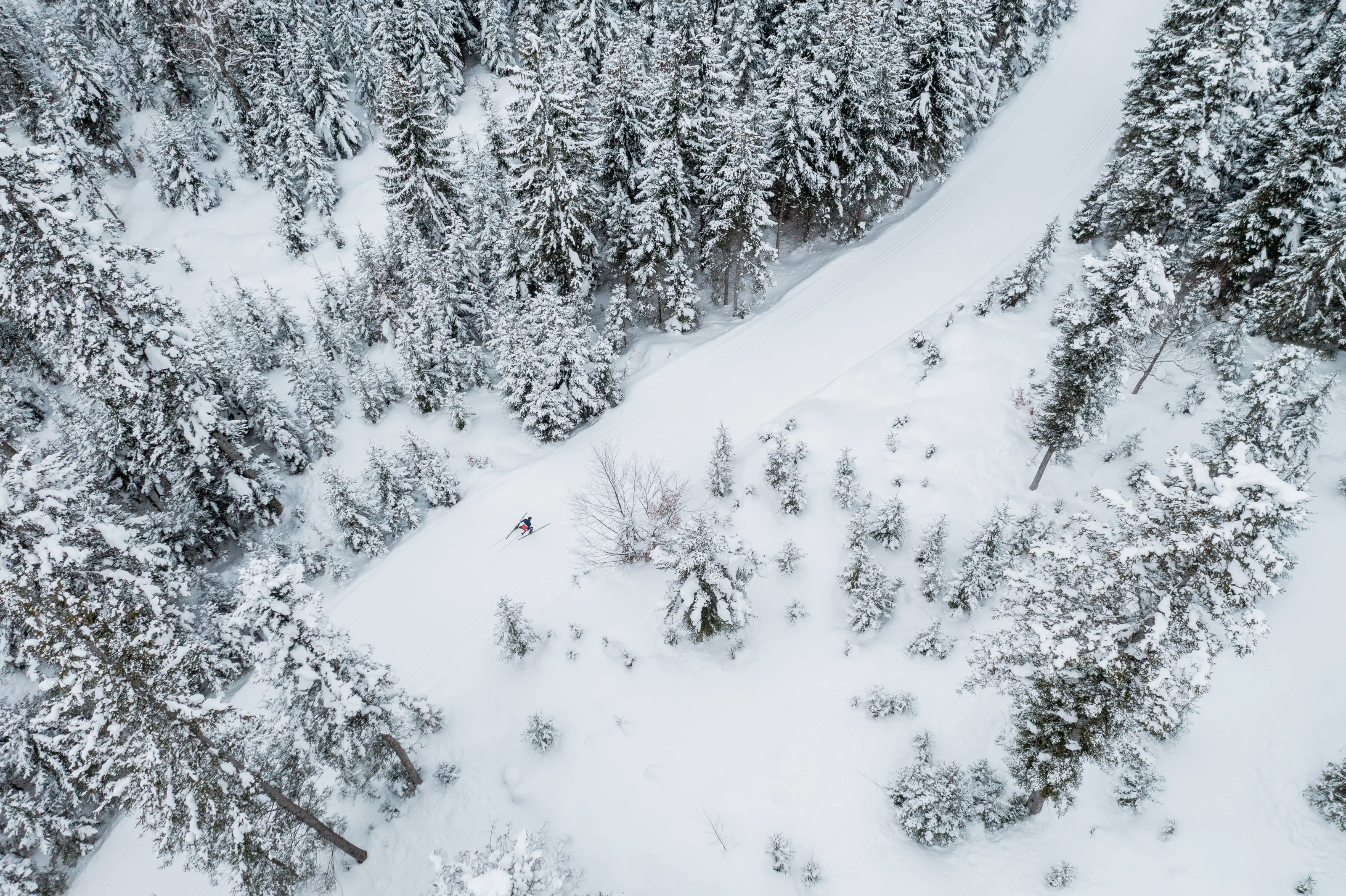 Michael Schnetzer zieht beim Skating-Langlauf eine Spur durch den verschneiten Wald.