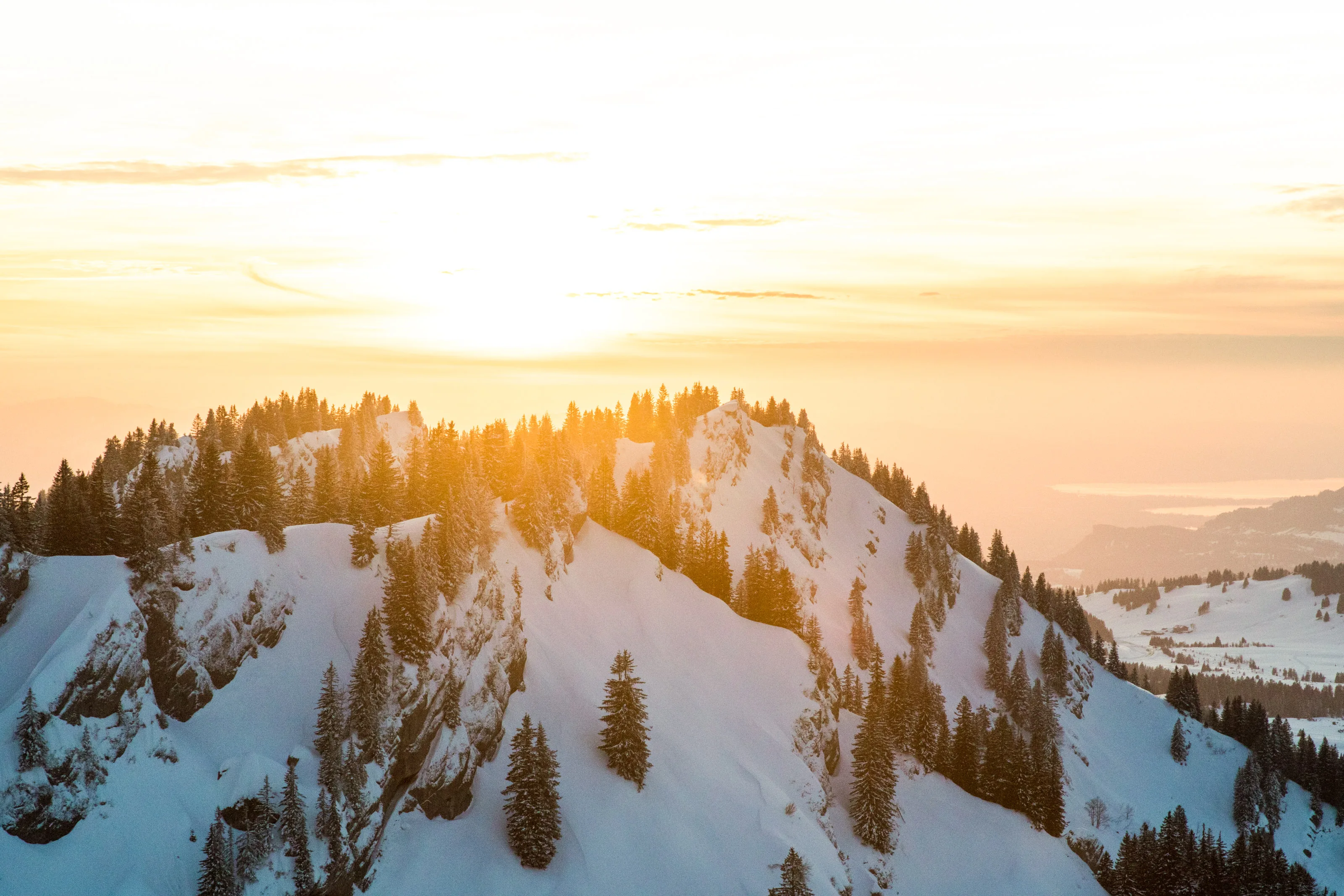 Verschneiter Bergkamm am Hochgrat in warmem Abendlicht.