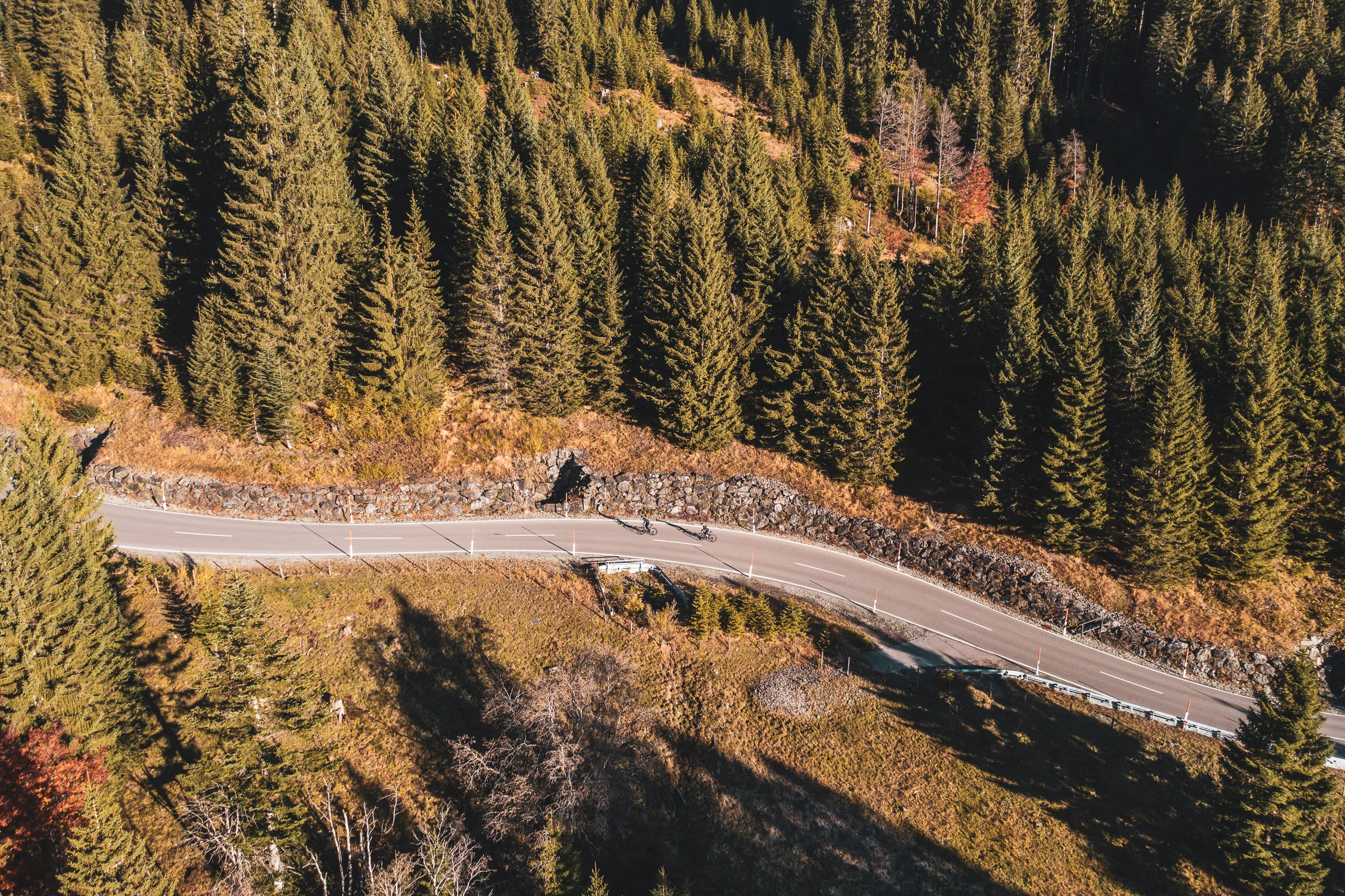 Zwei Rennradfahrerinnen auf einer Passstraße über einem herbstlichen Bergwald