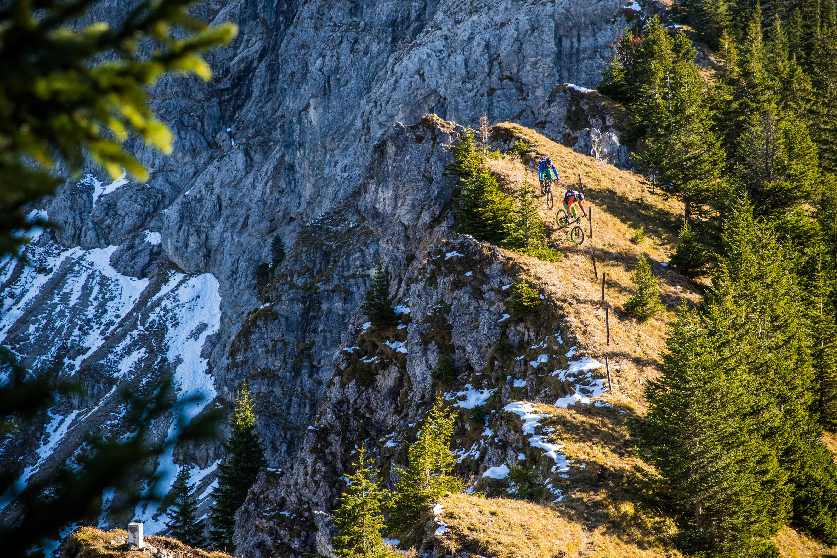 Florian Häusler und Robert Härle fahren mit Mountainbikes auf einem Singletrail.