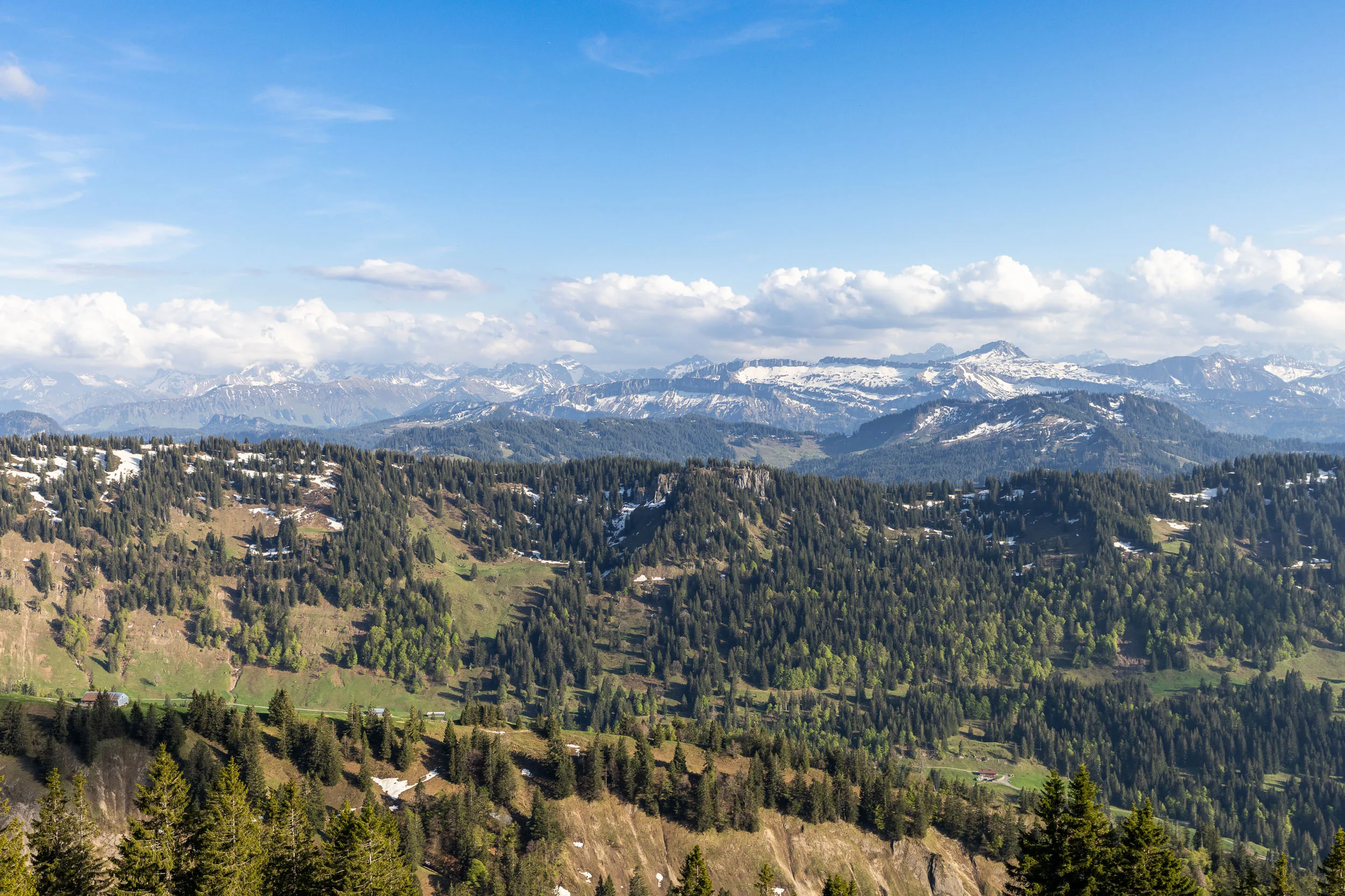 Blick vom Hochgrat über das Allgäu und die Nagelfluhkette in sommerlichem Licht.