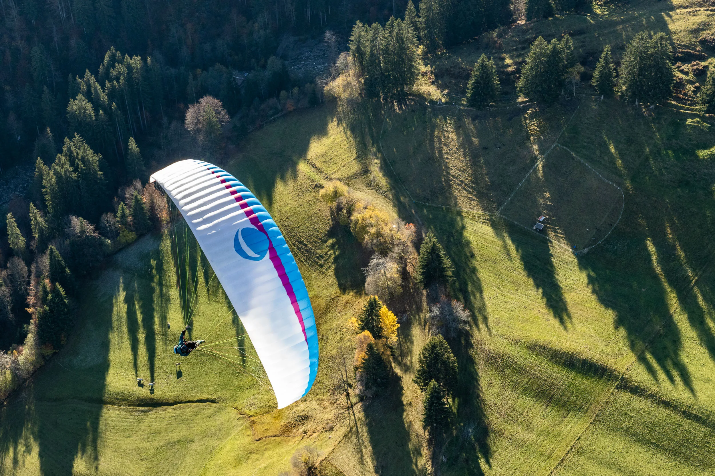 Lara Weinfurtner fliegt mit ihrem Gleitschirm über einer herbstlichen Wiese im Allgäu.