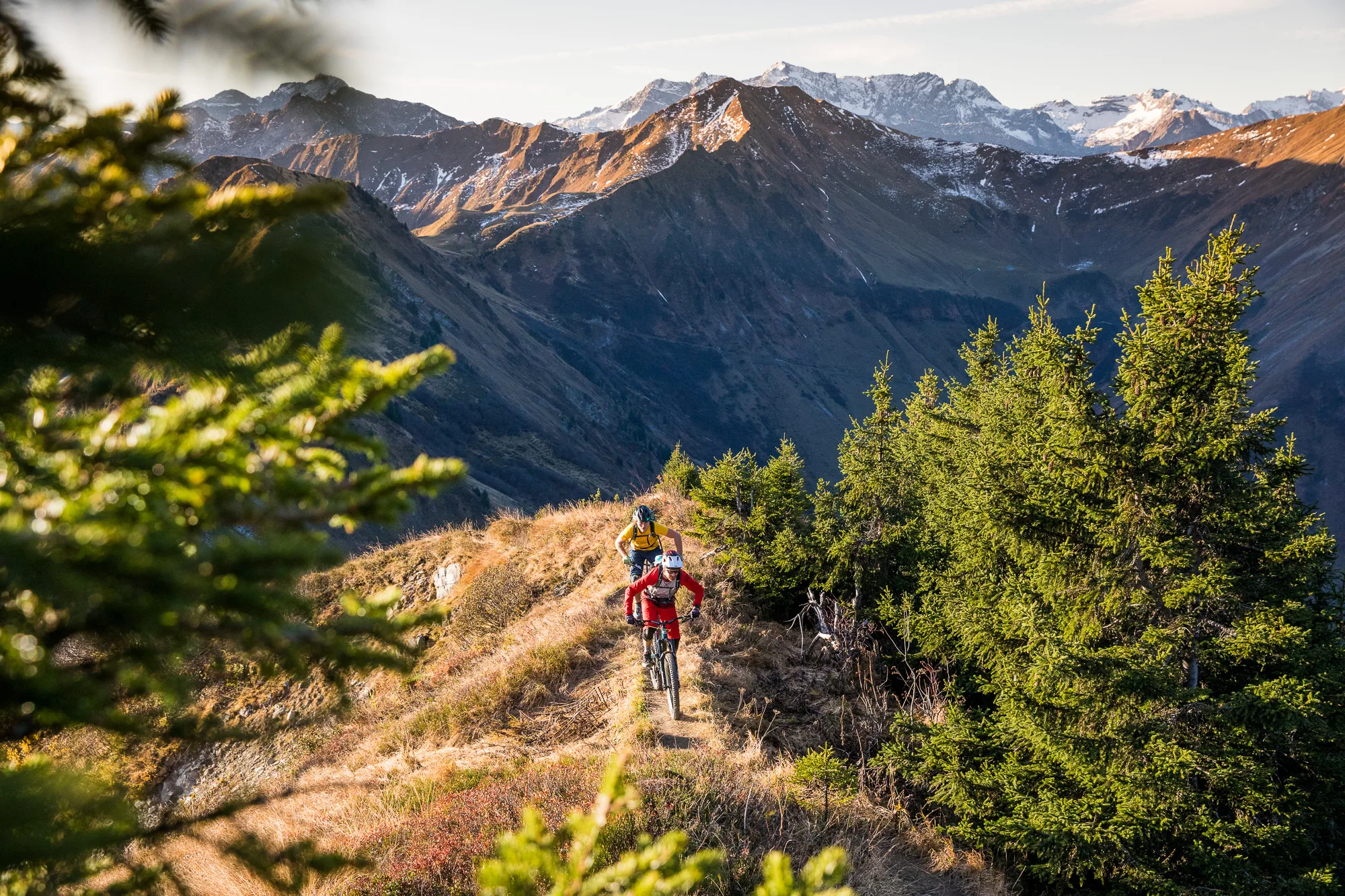 Mountainbiker fährt auf einem schmalen Pfad zwischen Fichten in alpinem Gelände