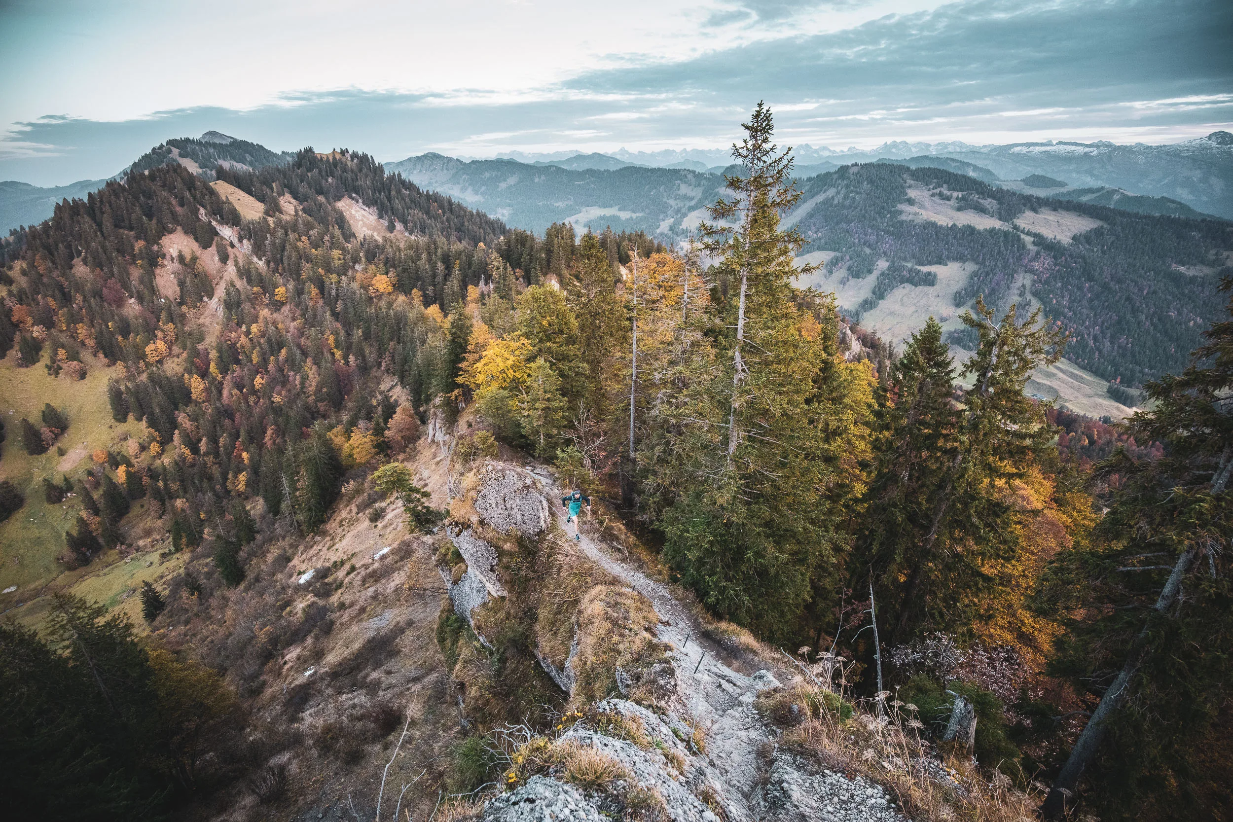 Blick über einen bewaldeten Felsrücken mit leuchtendem Herbstlaub und fernen Bergen.