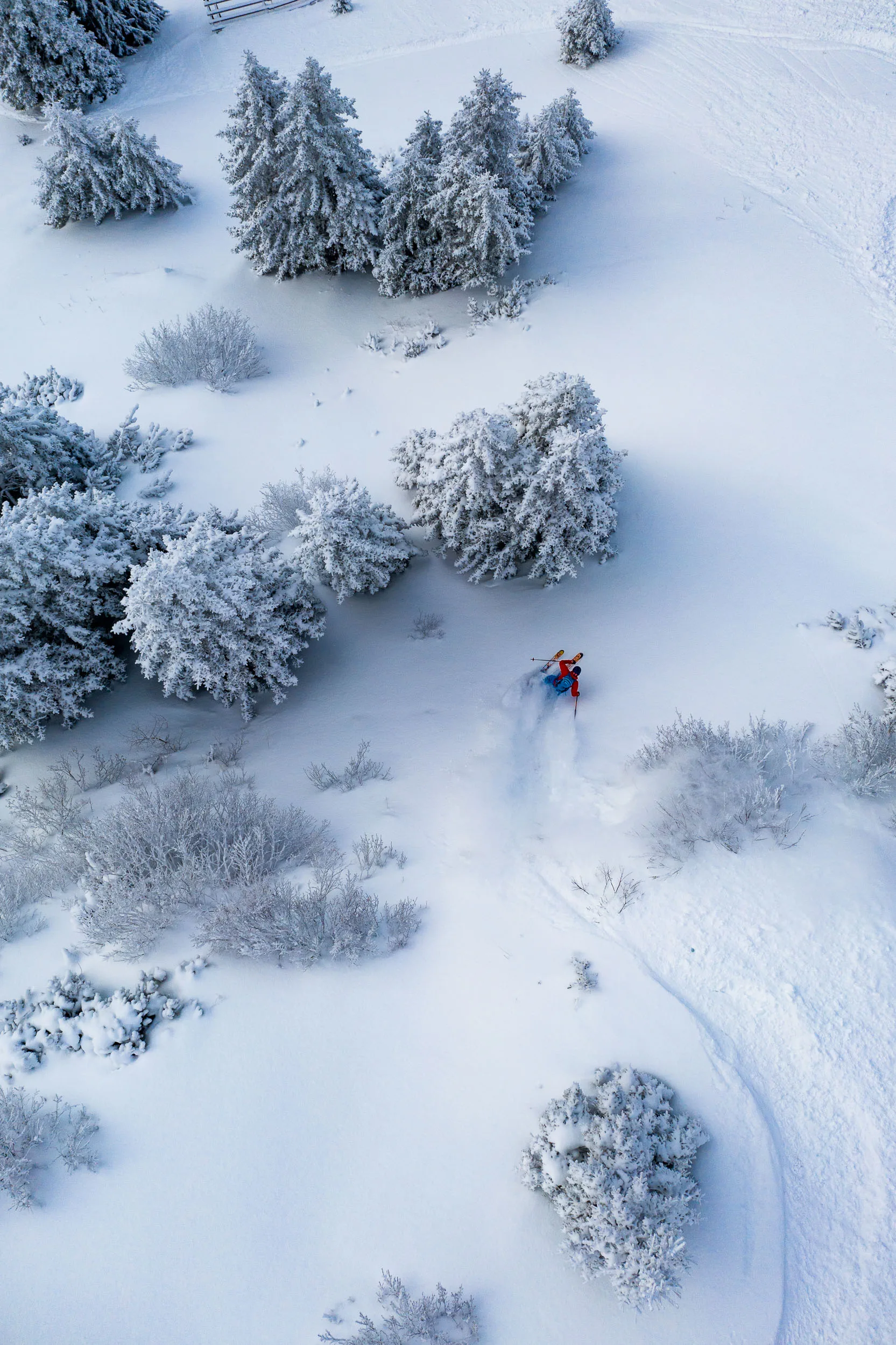 Mit Ski durch eine verschneite Lichtung zwischen tief verschneiten Bäumen.
