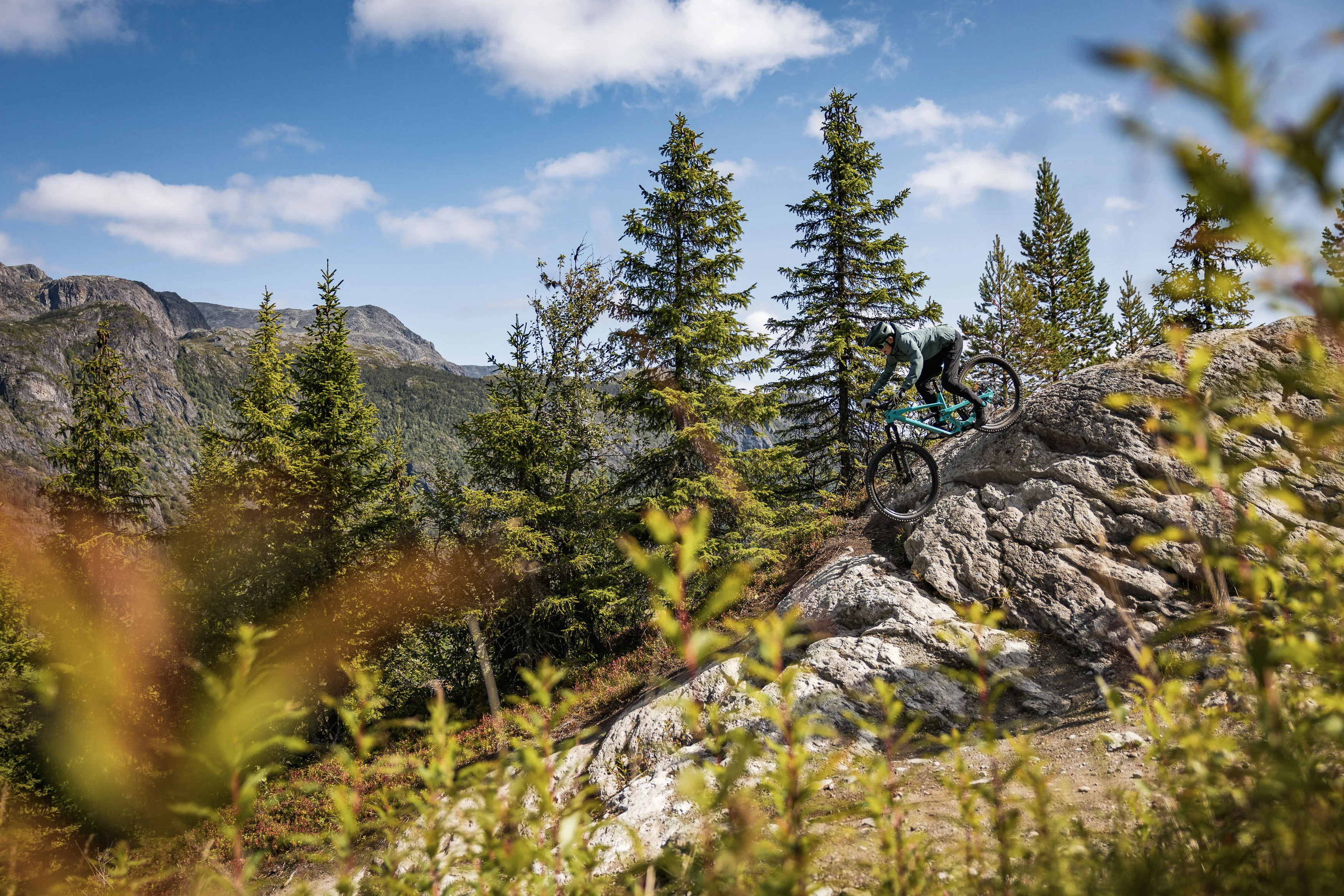 Mountainbiker hebt über einer felsigen Trailkante zwischen Fichten kurz ab