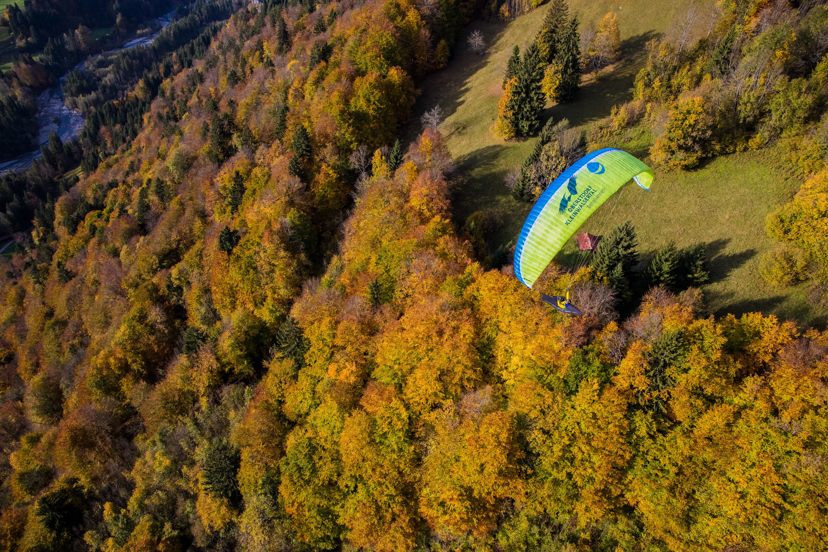Michael Gebert mit grünem Gleitschirm über einer herbstlichen Waldkante und offenen Bergwiesen am Nebelhorn