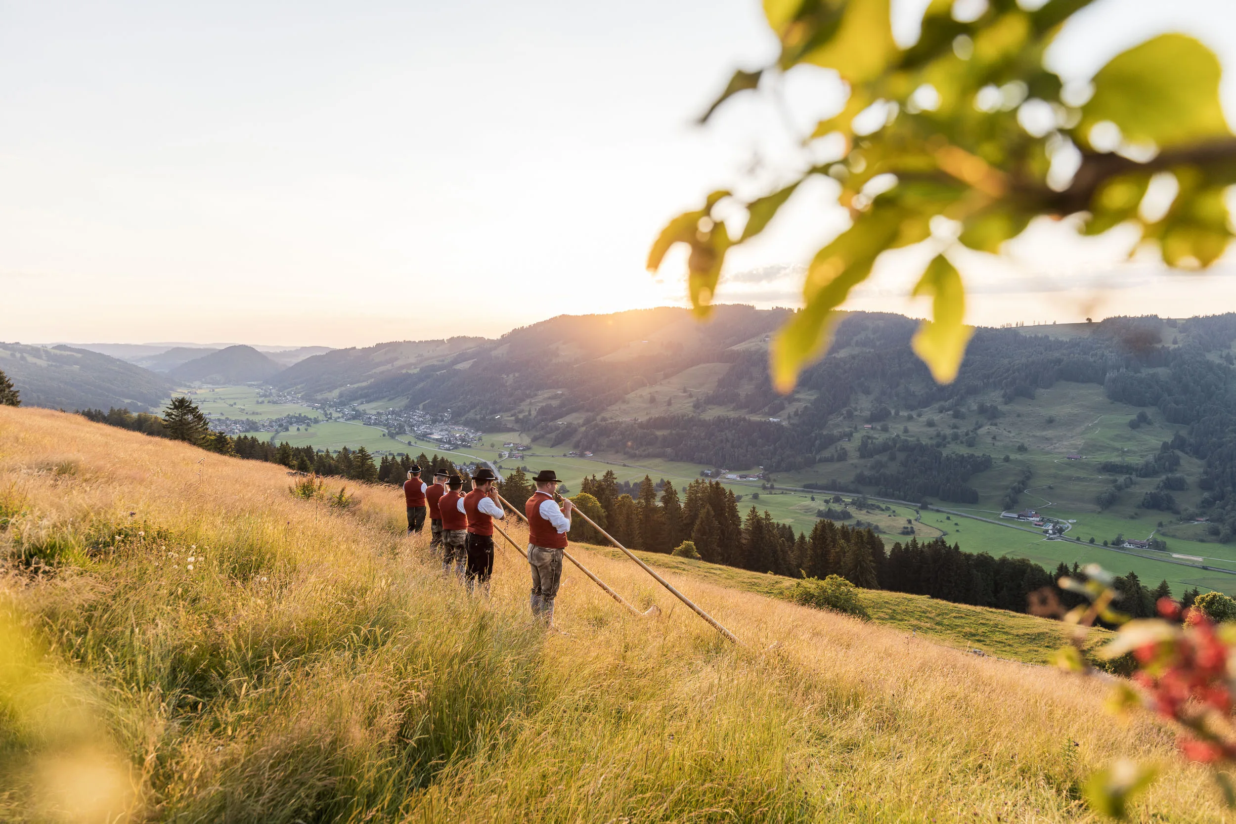 Alphornbläser im warmen Abendlicht, eingerahmt von Blättern und Wiesen im Allgäu.