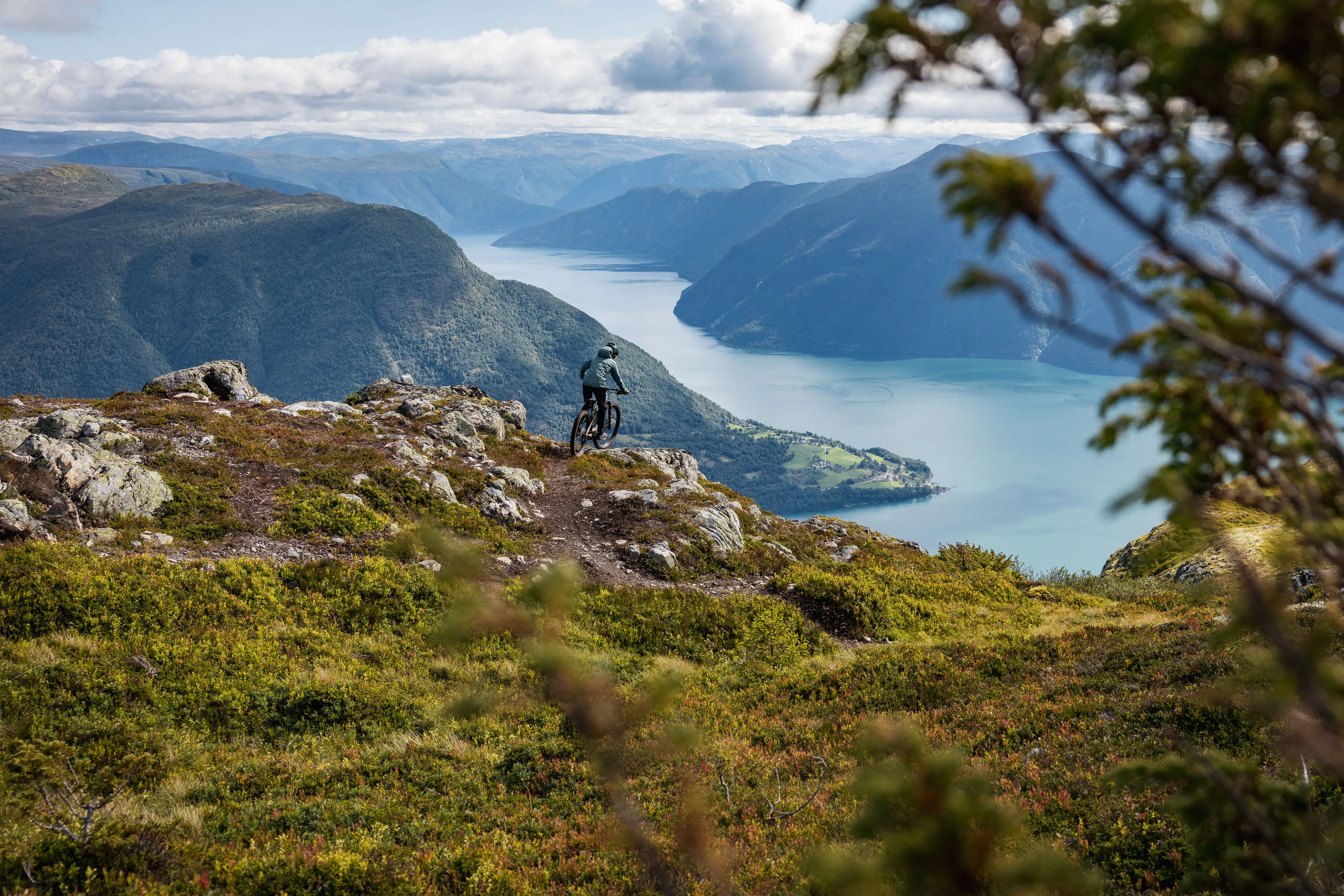 Mountainbiker fährt zwischen Zweigen und Felsen auf einem Höhenweg über dem Fjord