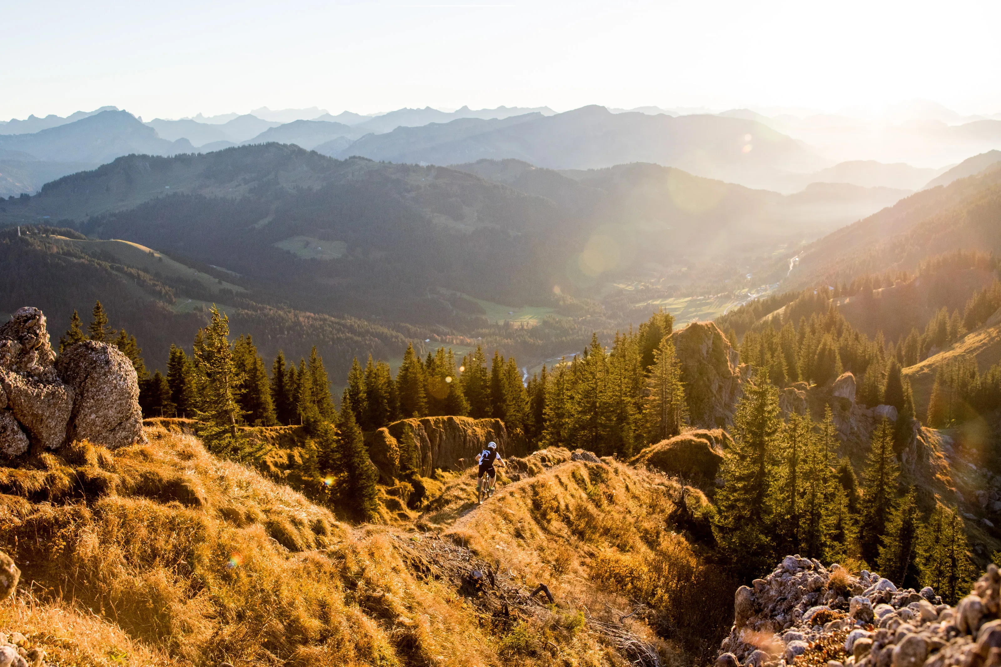 Berglandschaft mit Felsen und Wald im warmen Abendlicht.