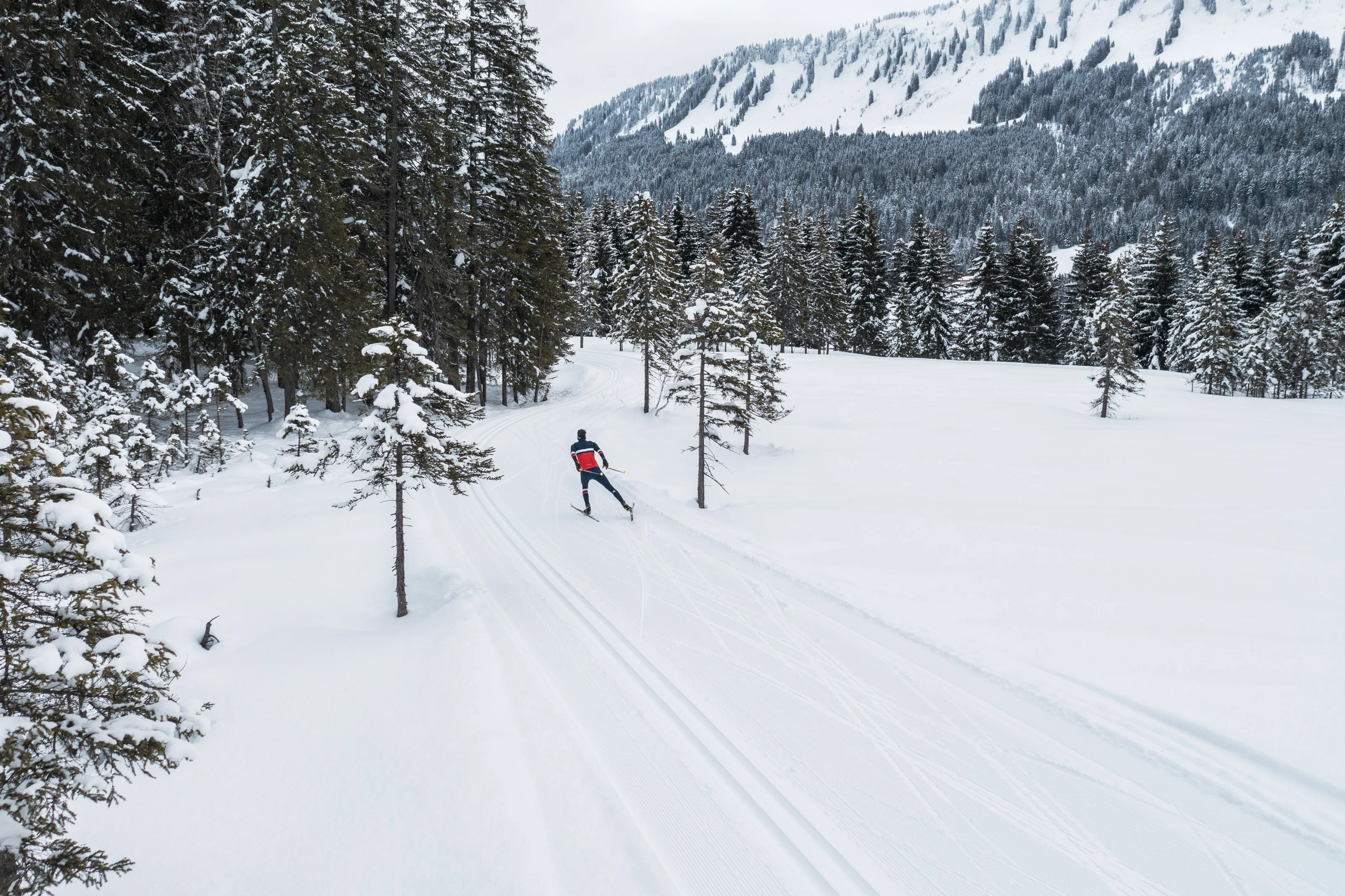 Michael Schnetzer fährt beim Skating-Langlauf durch eine verschneite Waldlichtung.