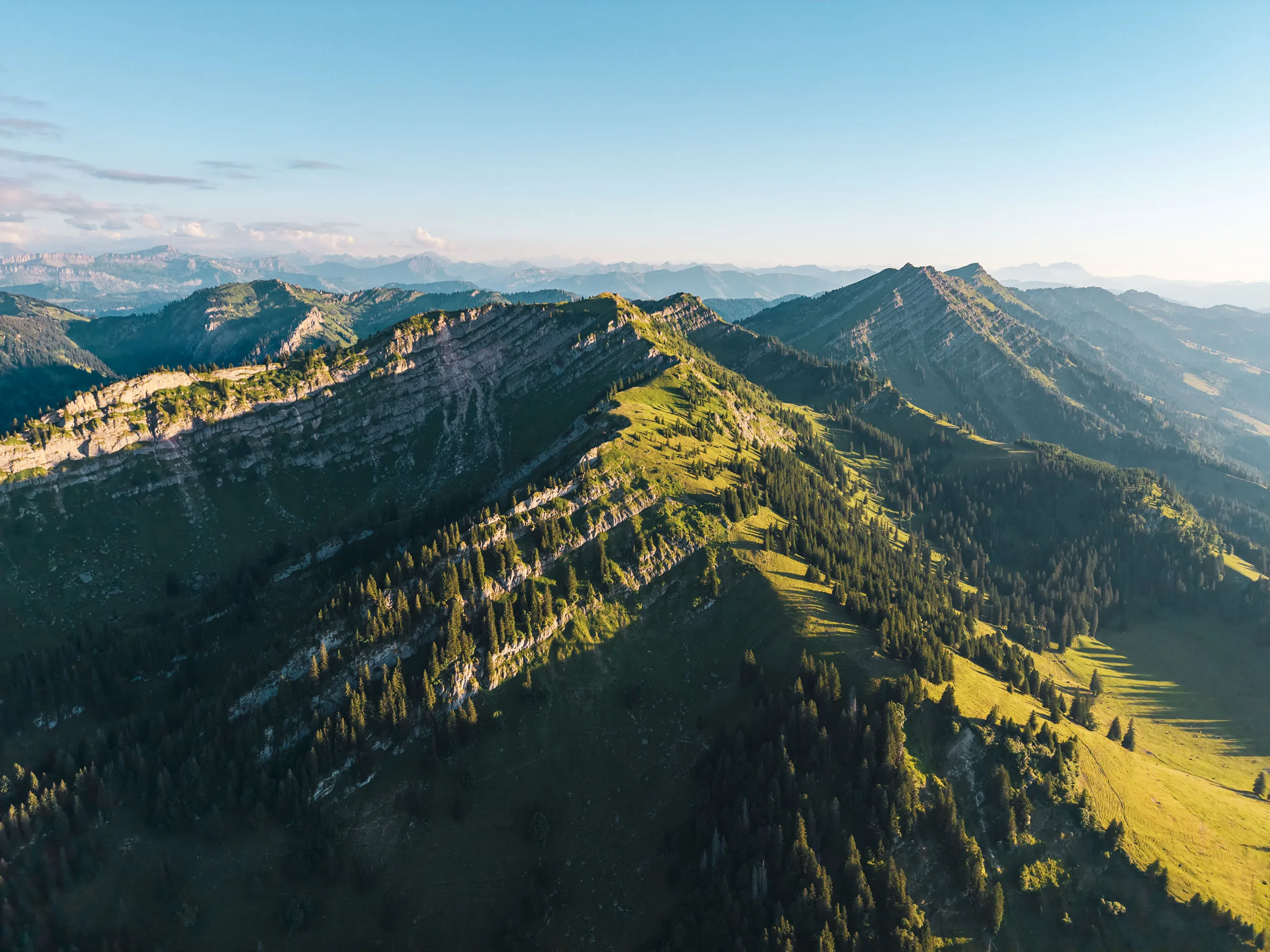 Lange Baumschatten ziehen sich über grüne Hänge unter den Felsbändern der Nagelfluhkette.