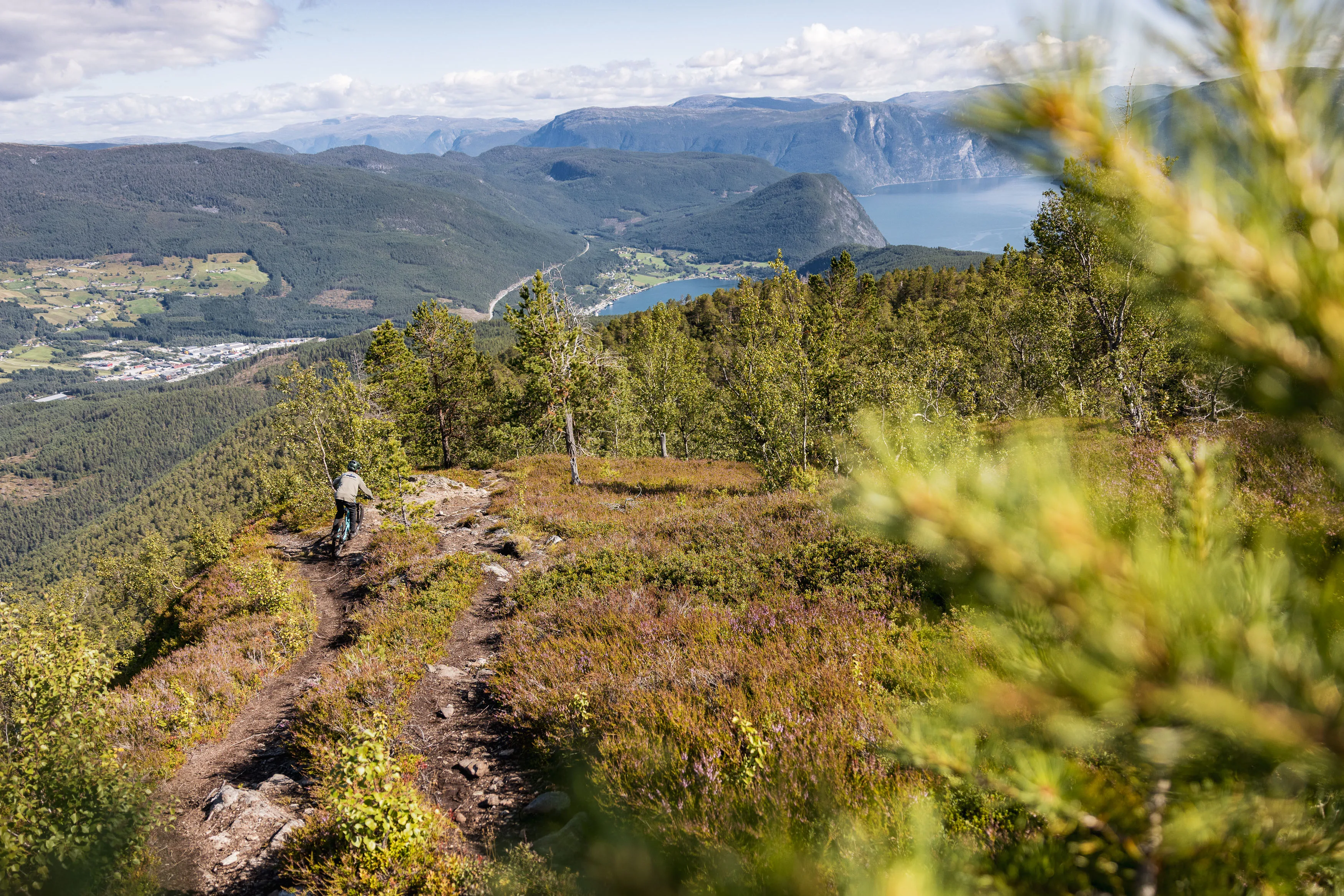 Mountainbiker fährt einen schmalen Trail durch Bergheide mit Fjordblick hinab