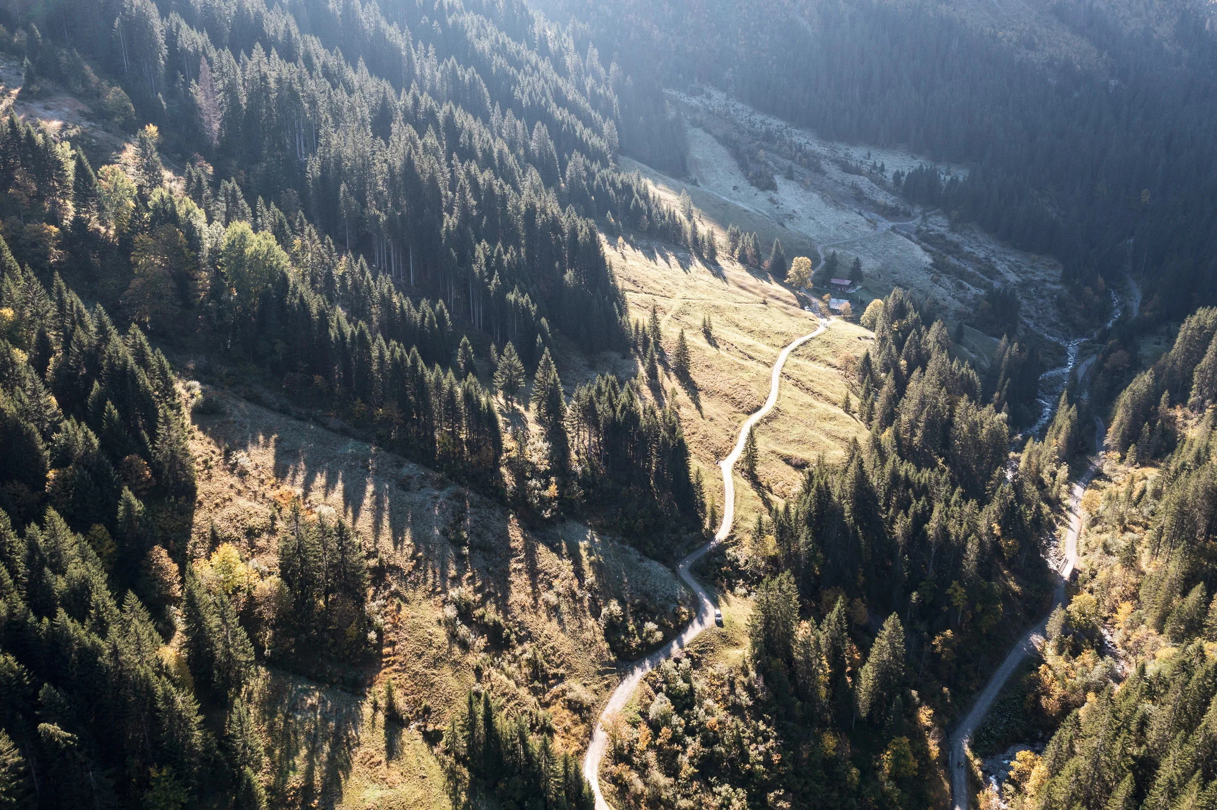 Luftaufnahme eines geschwungenen Weges durch herbstliche Wiesen und Wald im Kleinwalsertal