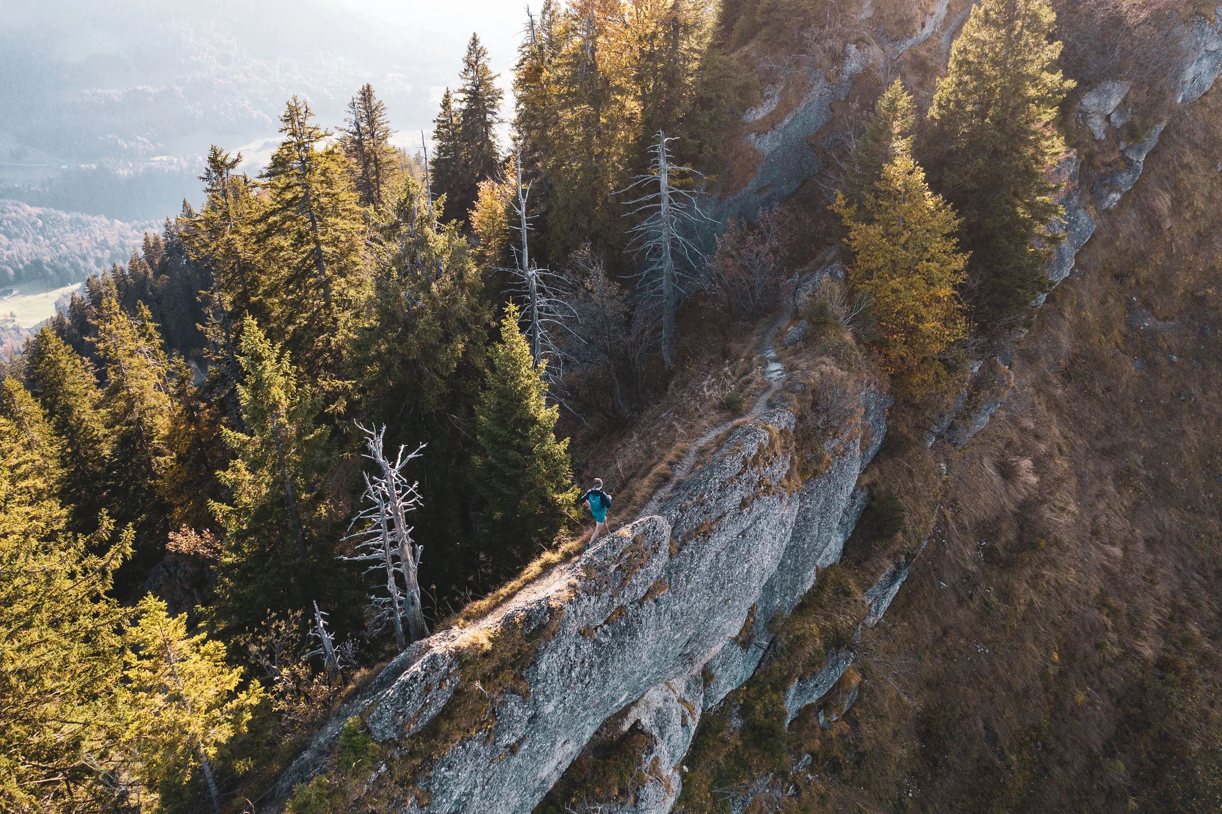 Ein Trailrunner folgt einem schmalen Felsgrat zwischen hohen Fichten und herbstlichem Bergwald.