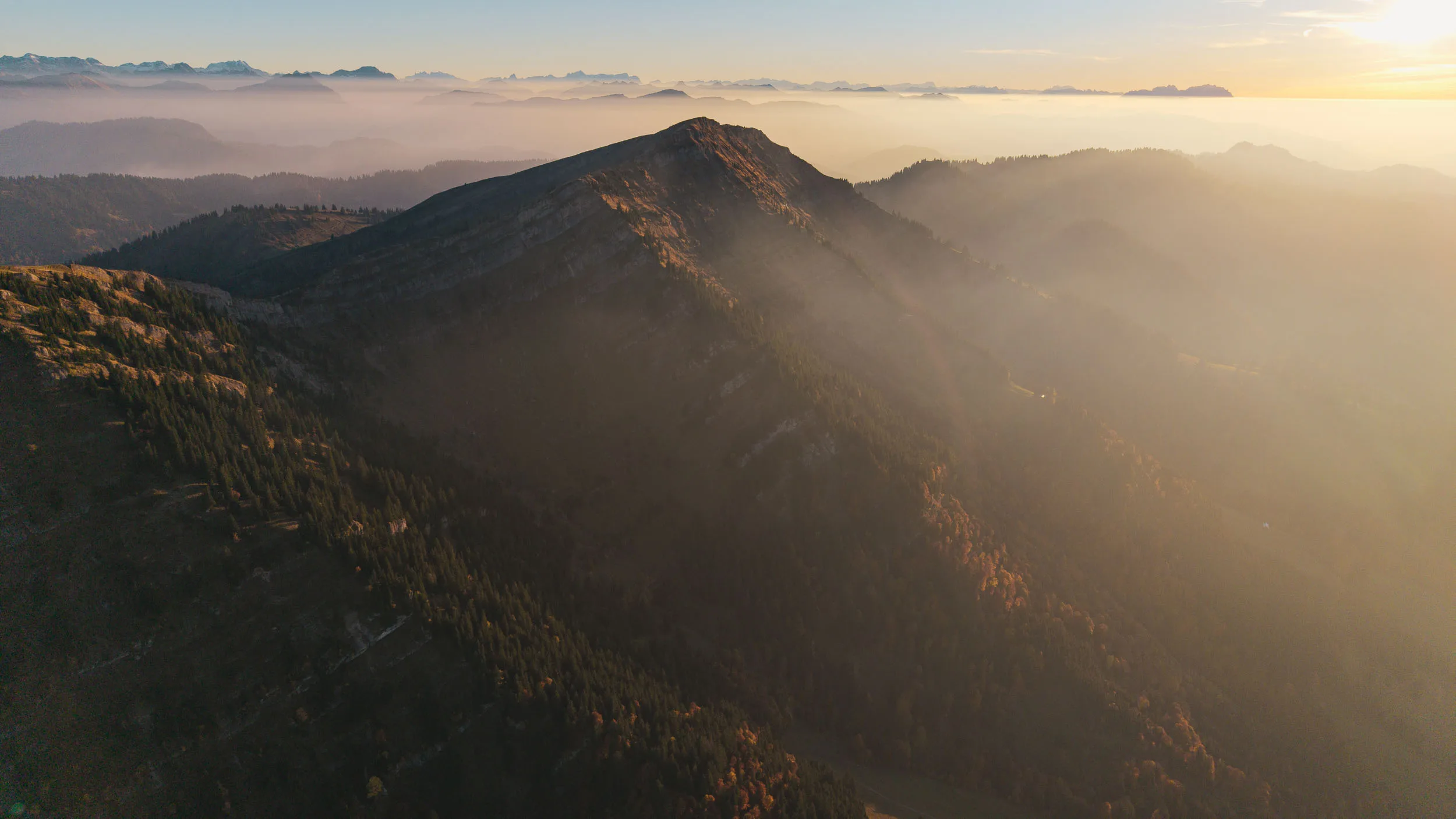 Abendlicht fällt über bewaldete Voralpen und ein fernes Nebelmeer