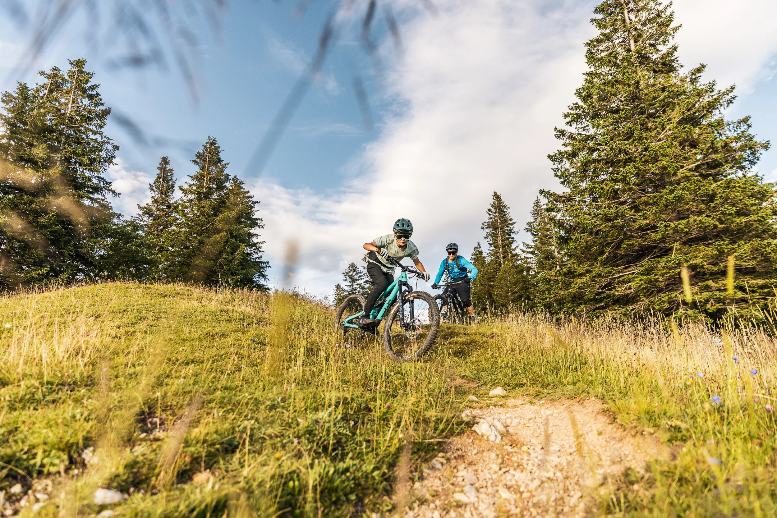 Zwei Mountainbiker fahren über eine steinige Geländestufe zwischen Bergwiese und Wald