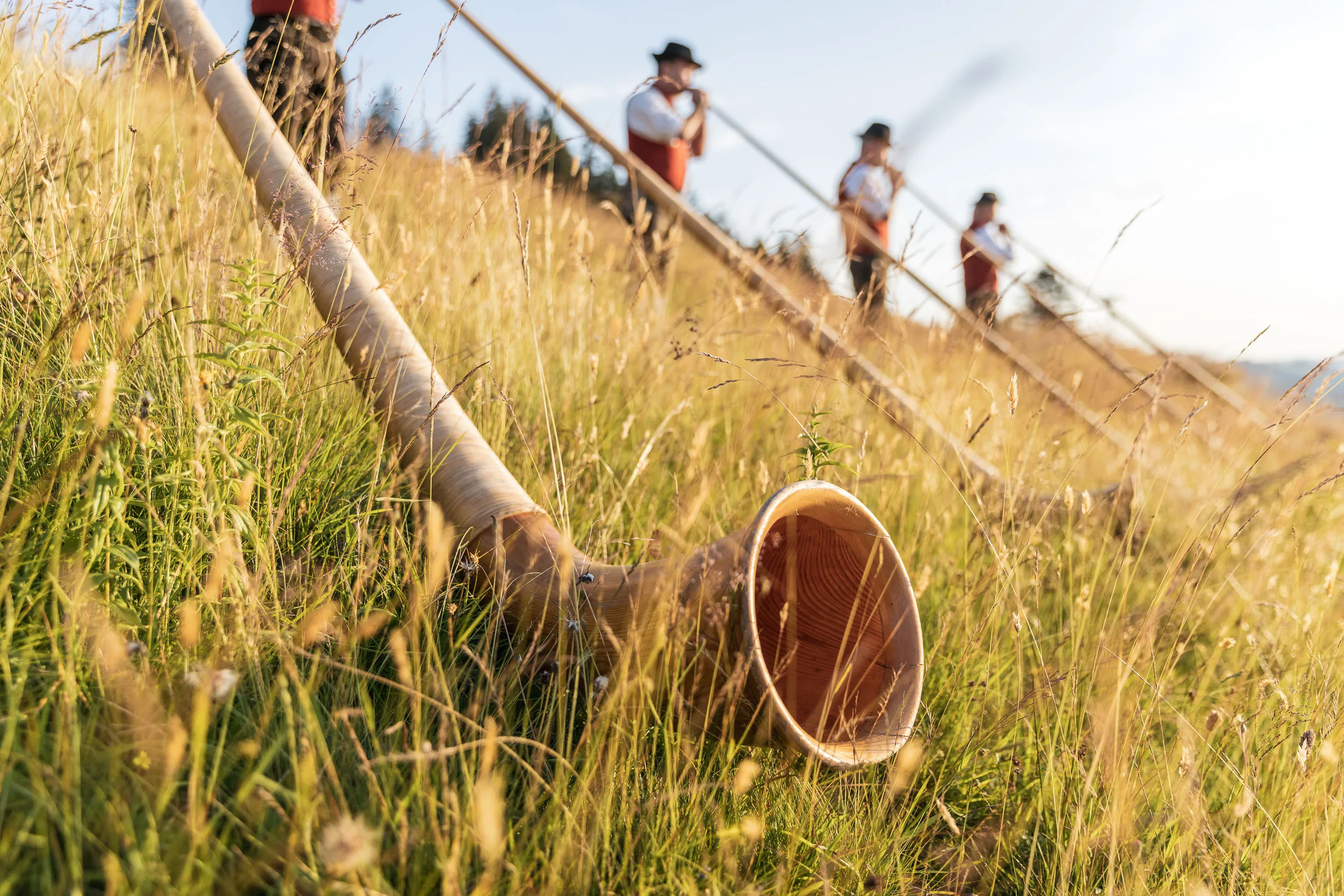 Alphorn im Gras einer sommerlichen Bergwiese, im Hintergrund stehen Musiker.