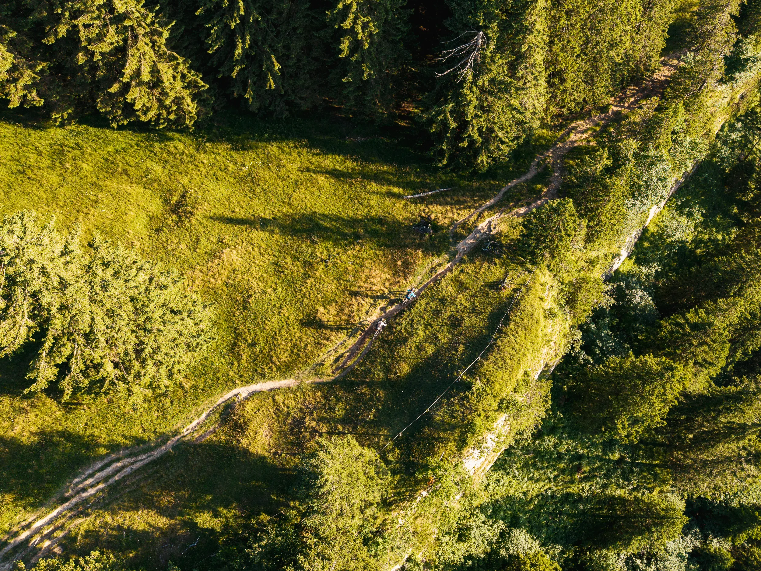 Schmaler Trail zieht sich durch eine Bergwiese zwischen langen Baumschatten