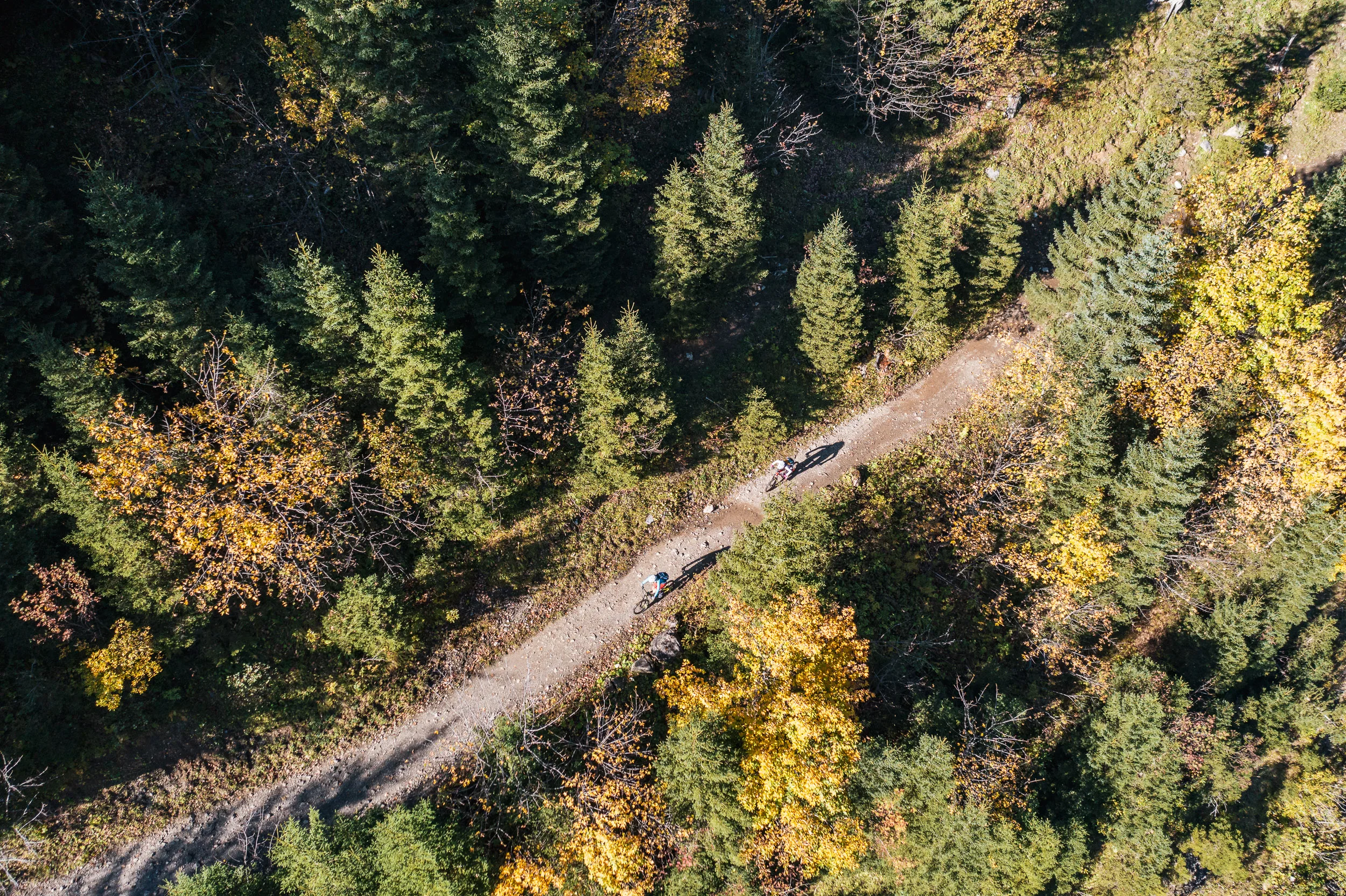 Zwei Mountainbikerinnen auf einem Waldweg zwischen herbstlichen Bäumen