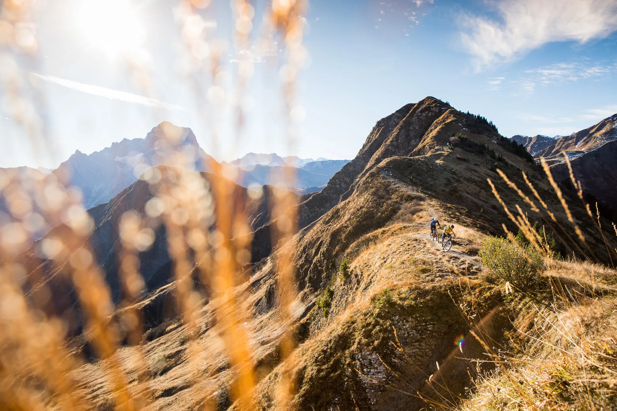 Zwei Mountainbiker fahren auf einem schmalen Hangweg durch hohes Gras im Abendlicht