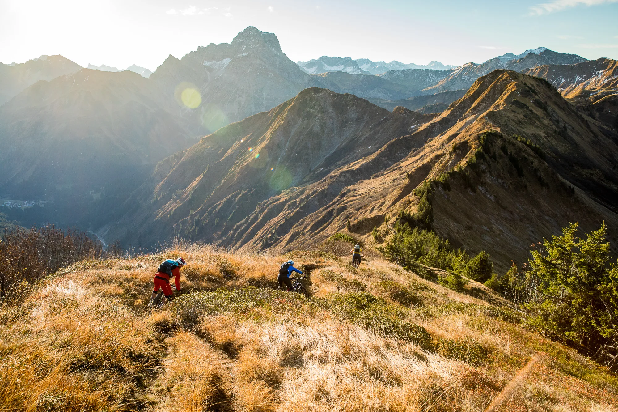 Mountainbiker fahren durch hohes Gras an einem sonnigen Berghang im Kleinwalsertal