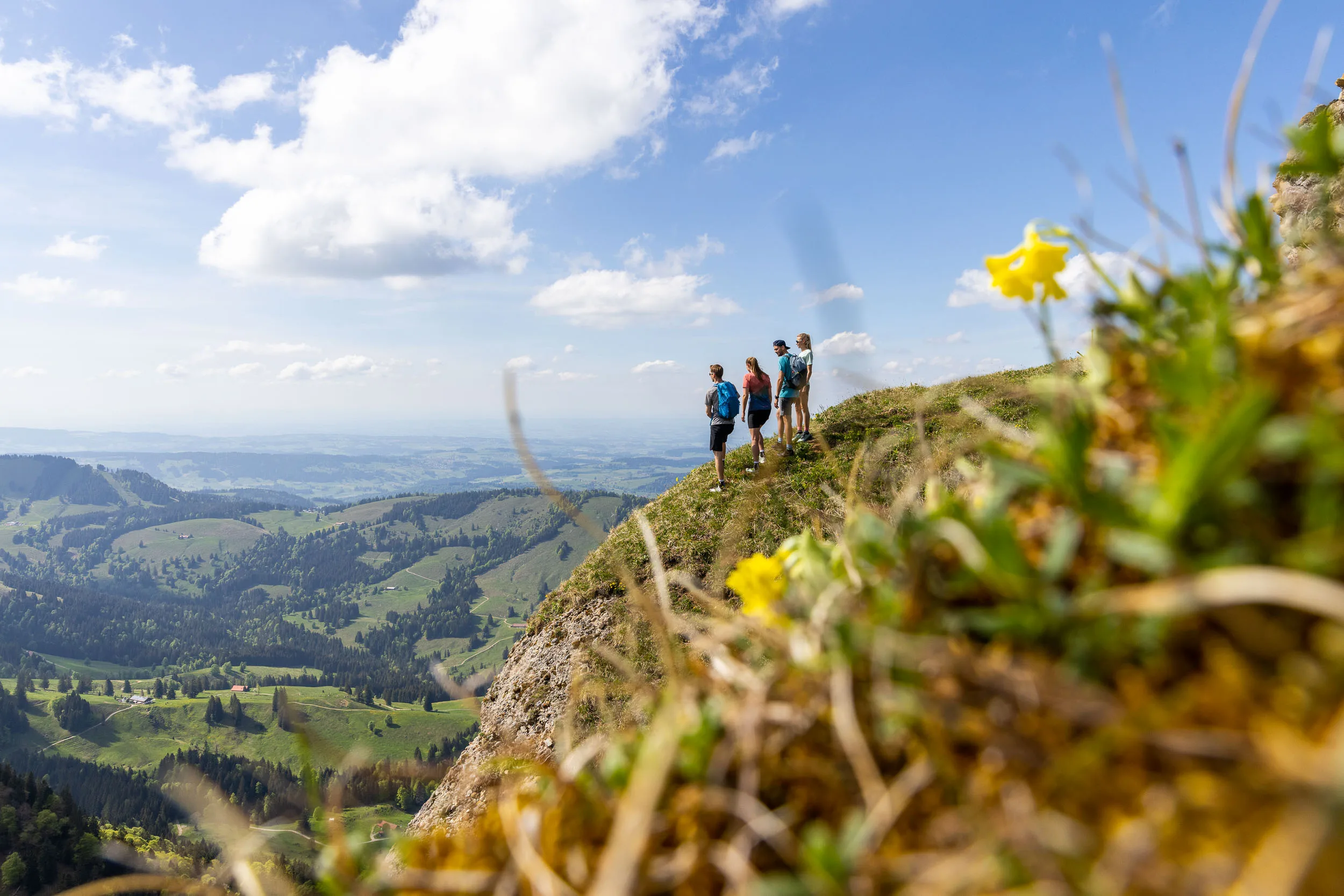 Wandernde auf einem Bergweg am Hochgrat mit Blick über das Allgäu.