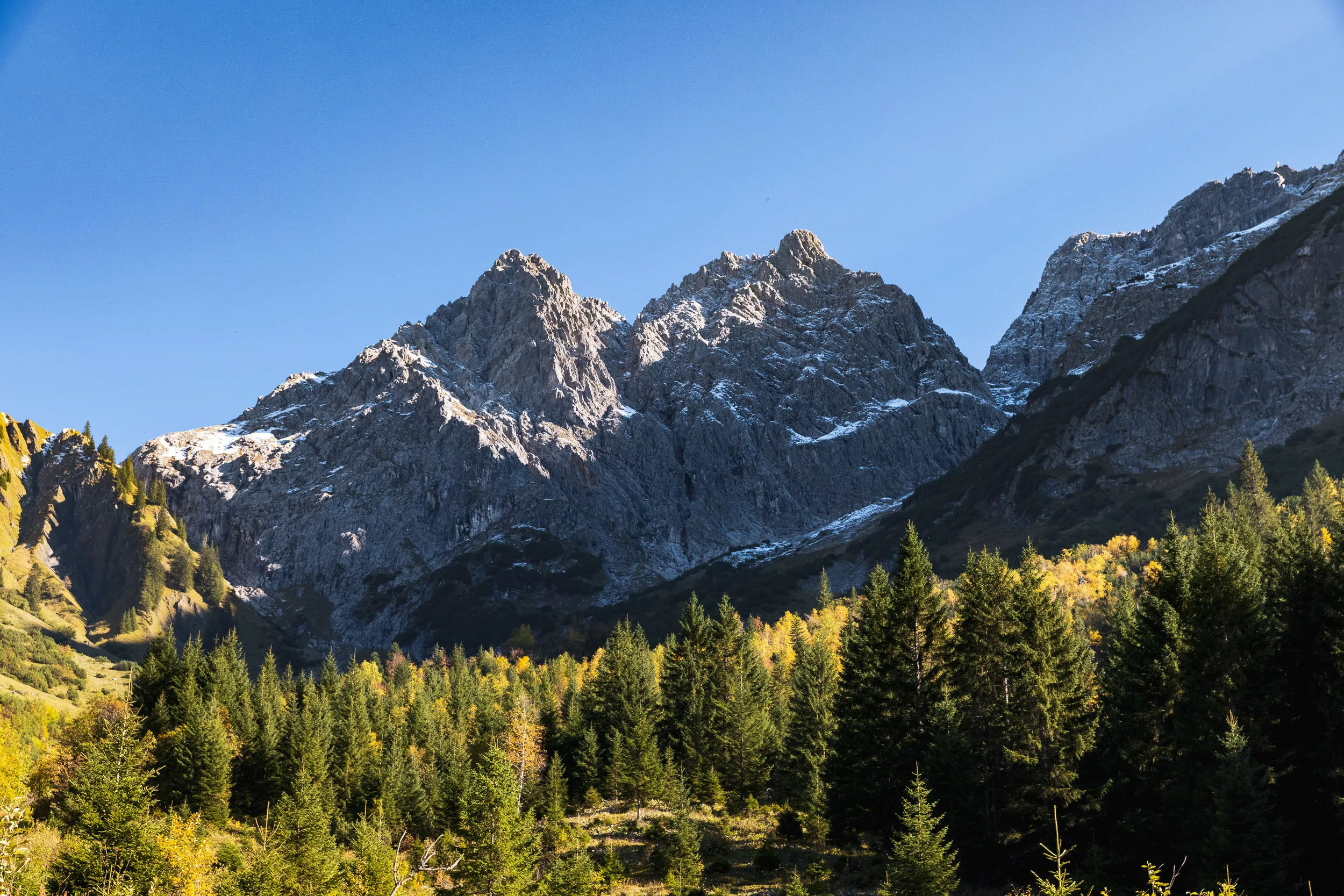 Felsige Gipfel über einem herbstlichen Bergwald im Kleinwalsertal
