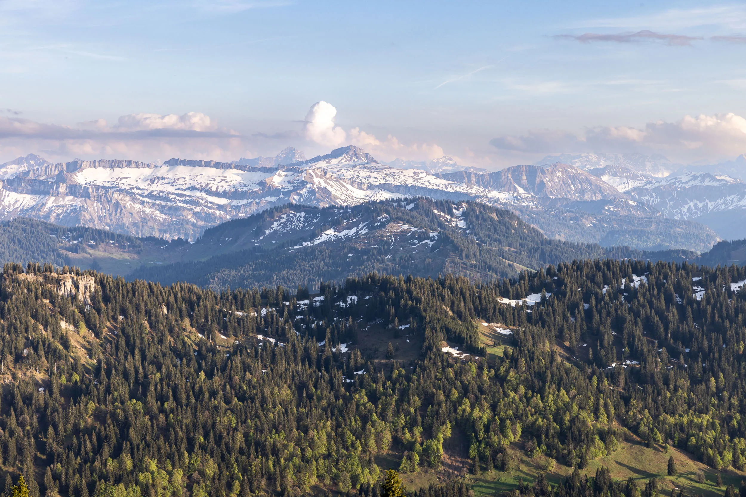Blick vom Hochgrat über das Allgäu und die Nagelfluhkette in sommerlichem Licht.