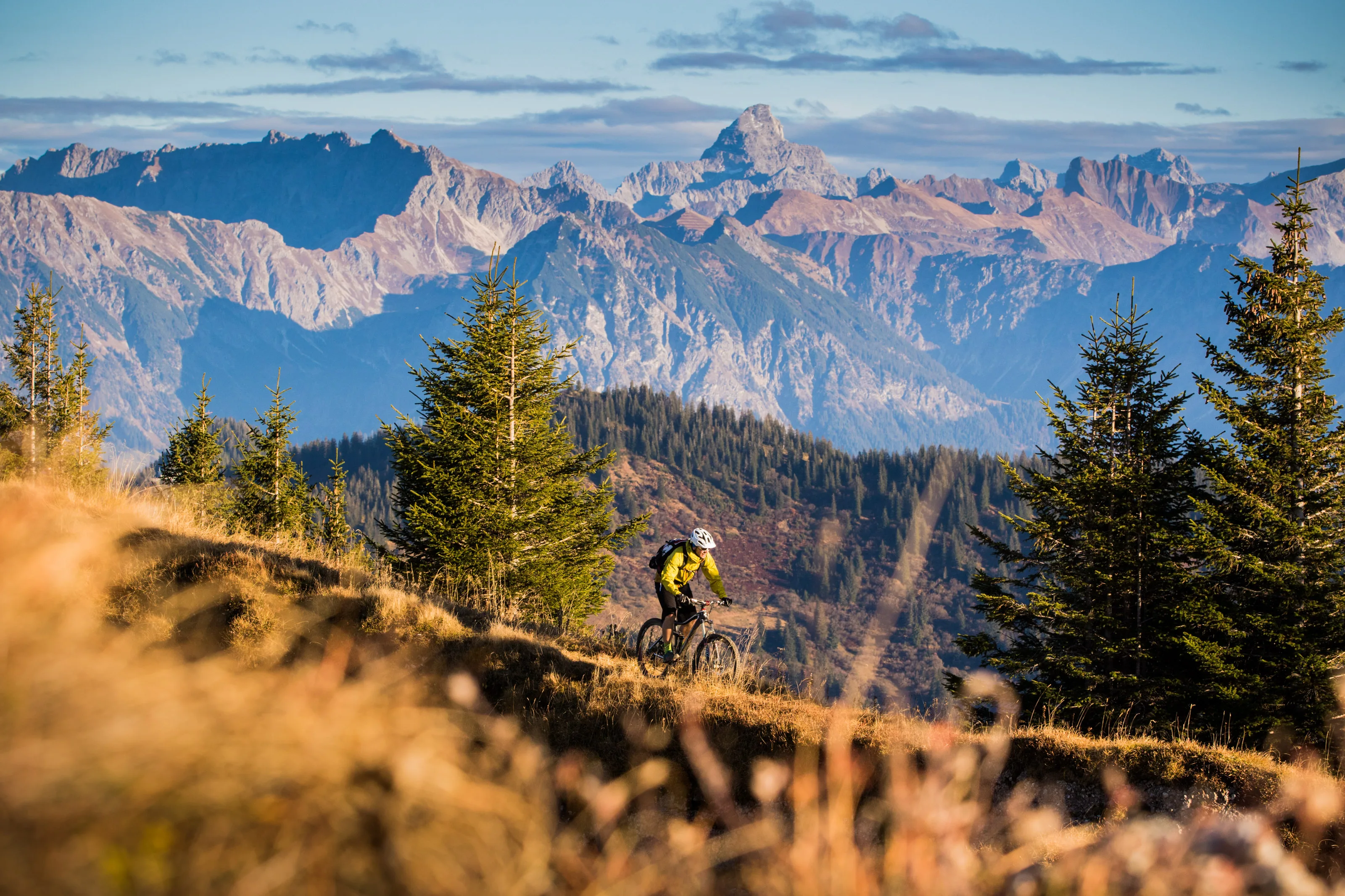 Bergpanorama mit Fichten im Vordergrund und warmem Licht.