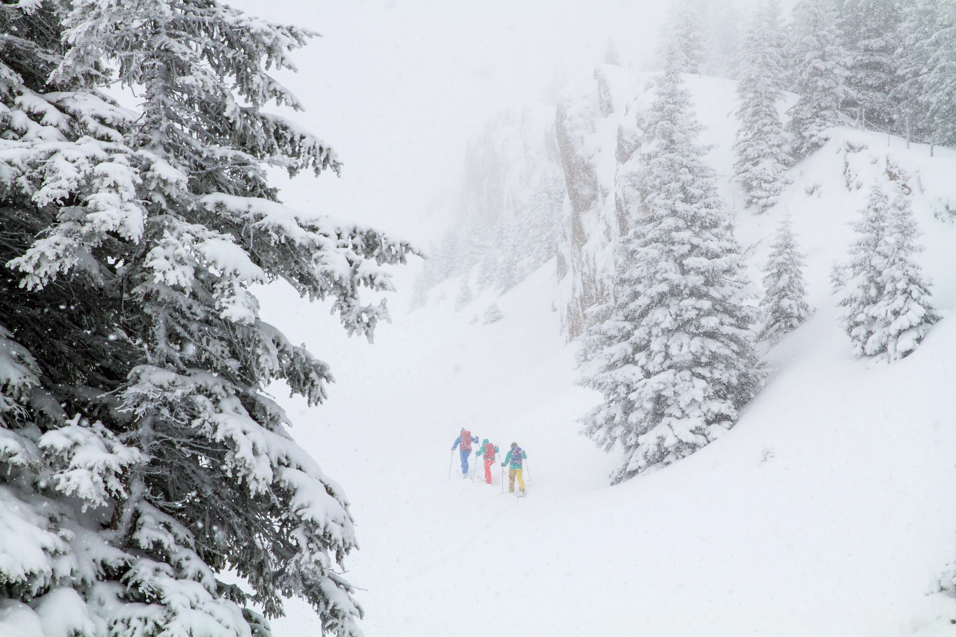 Skitourengeher bewegen sich unter verschneiten Fichten auf einen Felsgrat zu