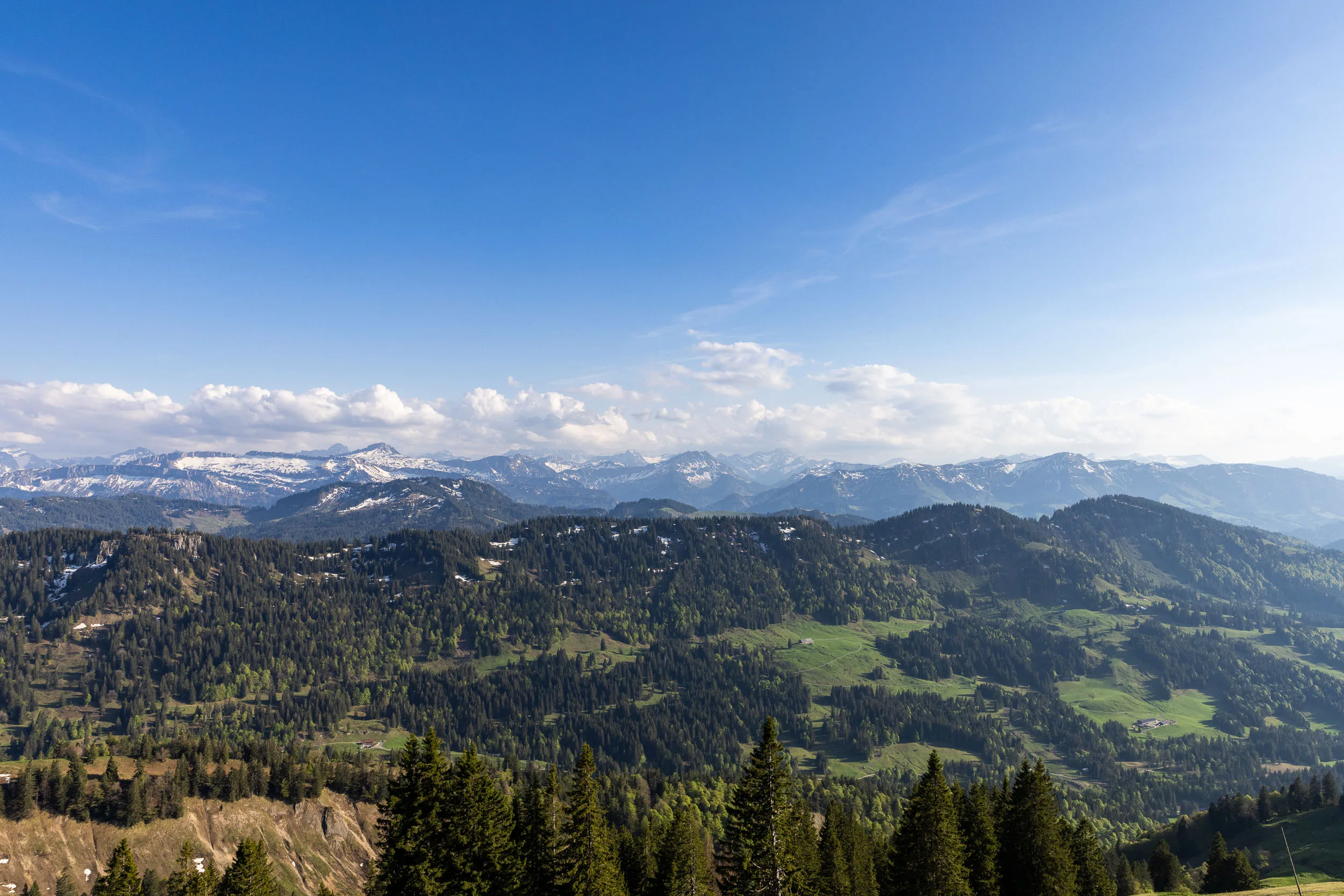 Blick vom Hochgrat über das Allgäu und die Nagelfluhkette in sommerlichem Licht.