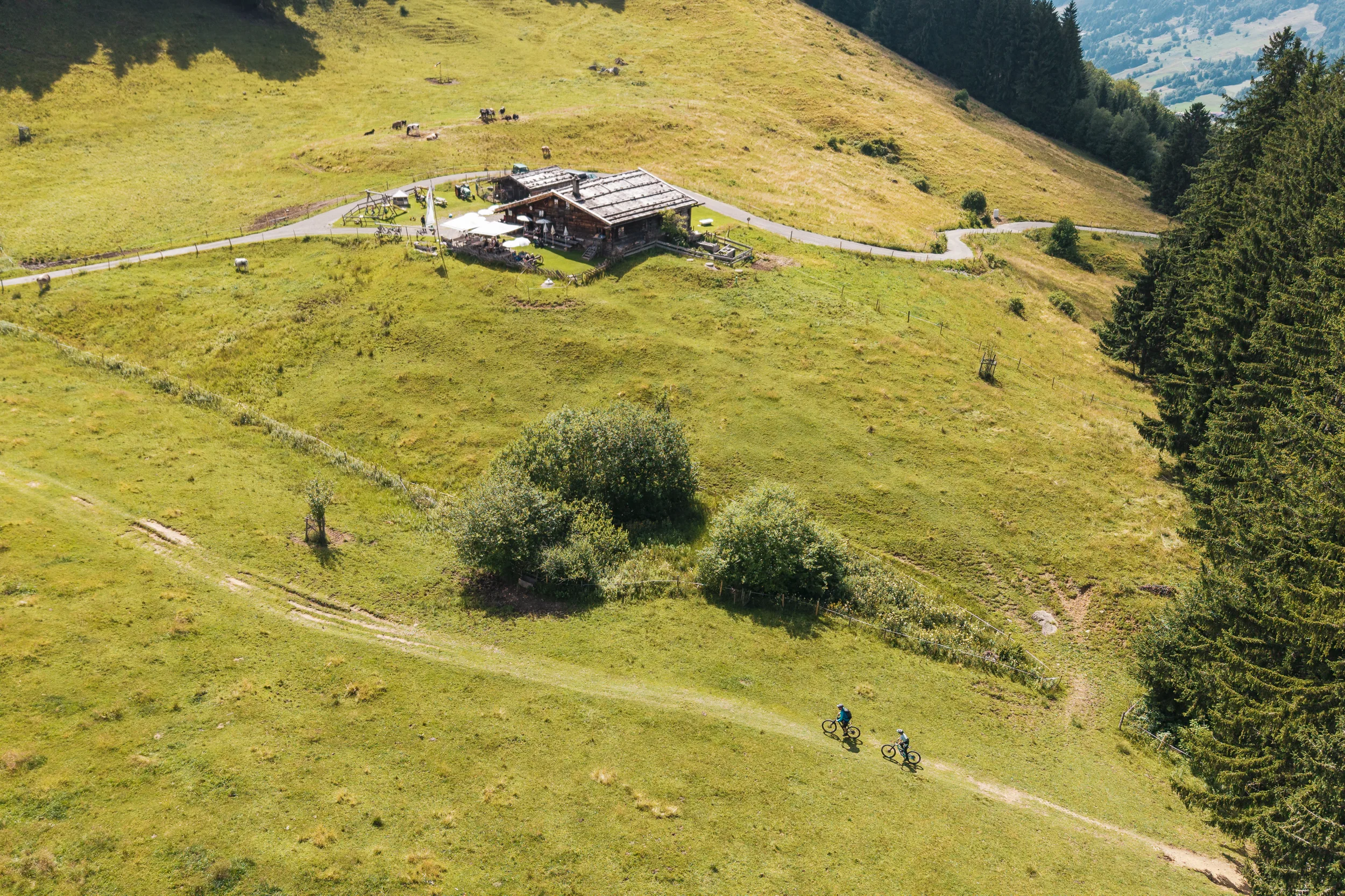 Zwei Mountainbiker queren eine Almwiese unterhalb der Alpe Gschwenderberg